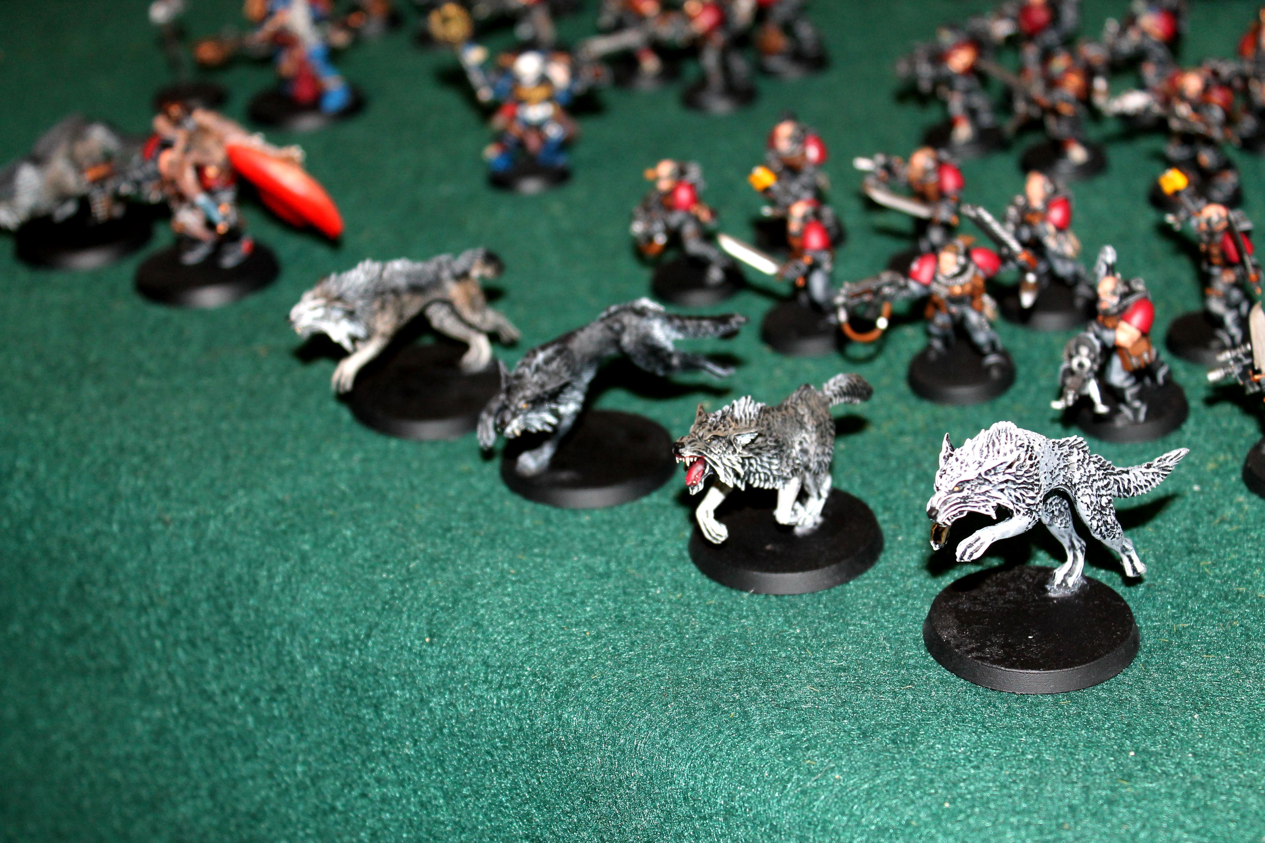 Alternative Color, Black, Black Armor, Dark, Mariene, Pack, Space, Templar, Wolf, Wolves