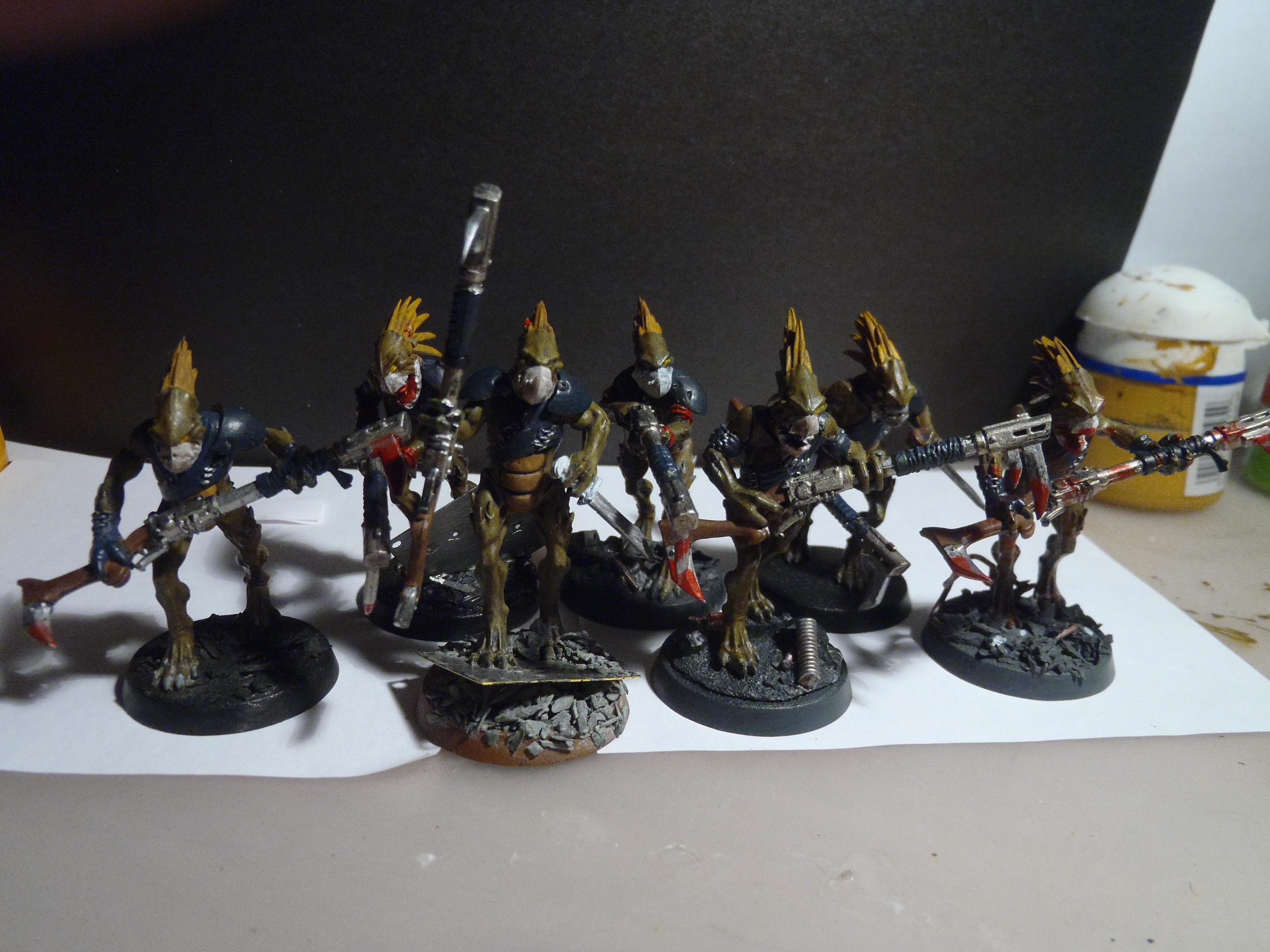 Kroot, Tau, kroots