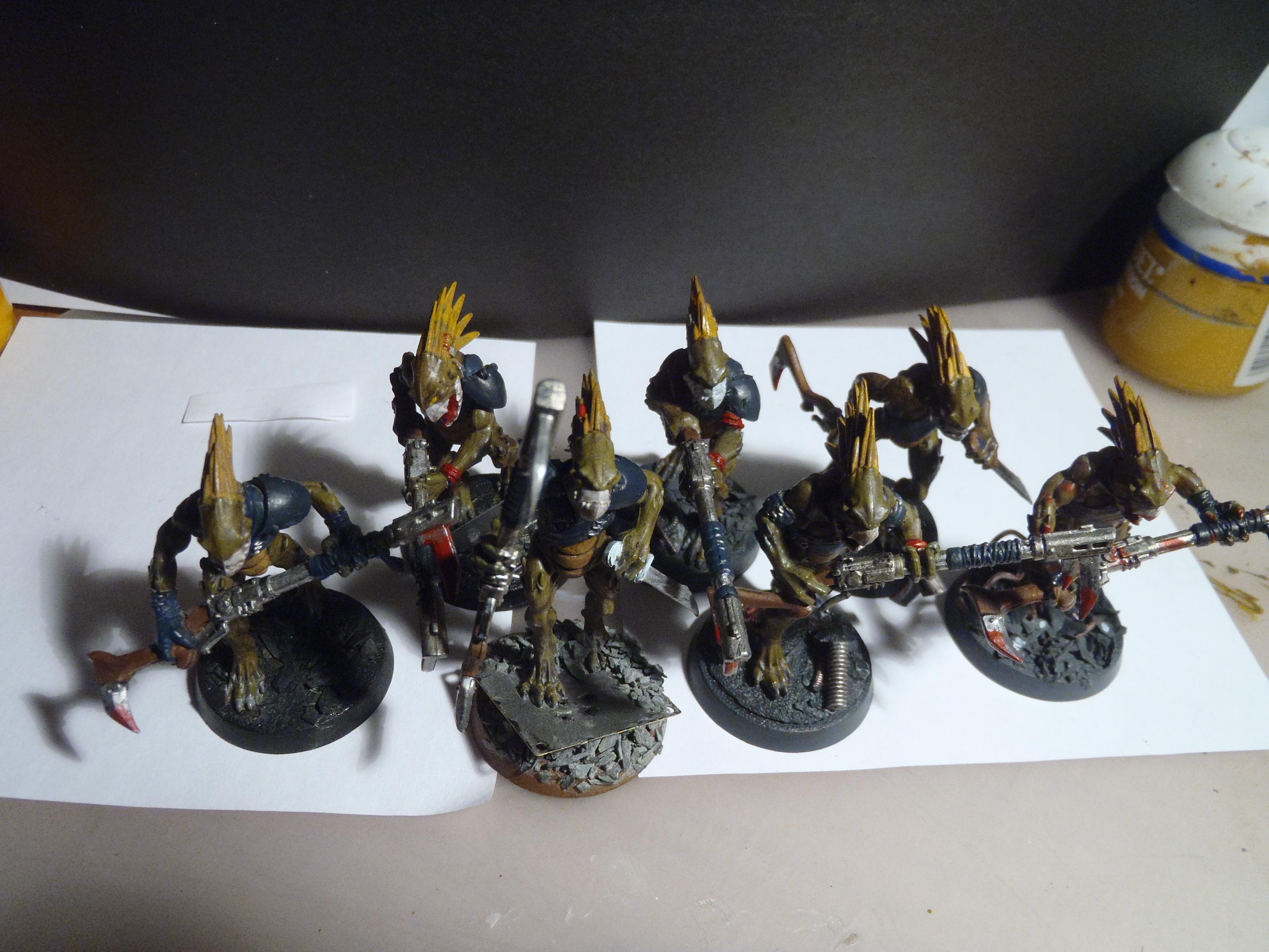 Kroot, Tau, kroots