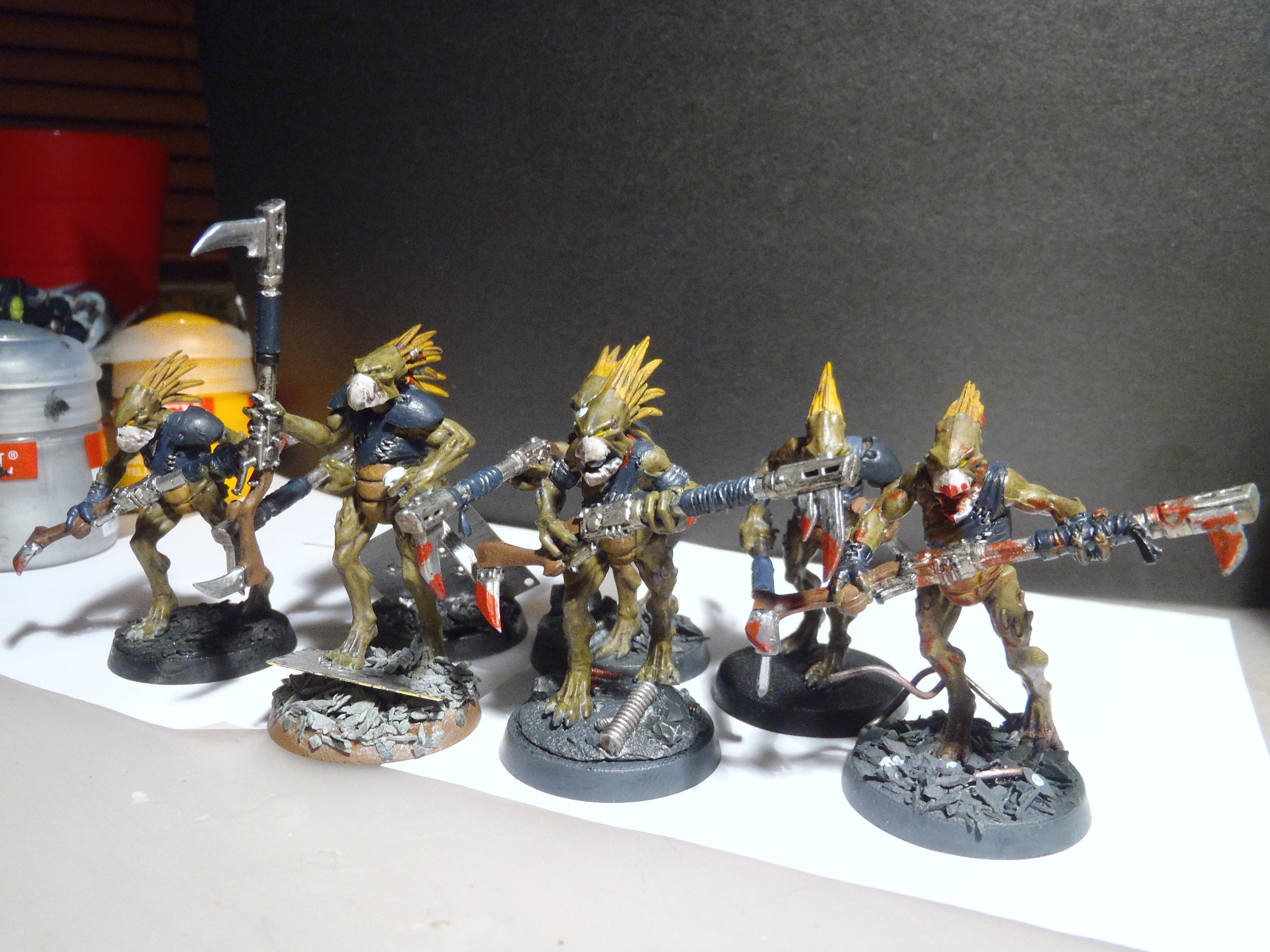 Kroot, Tau, kroots