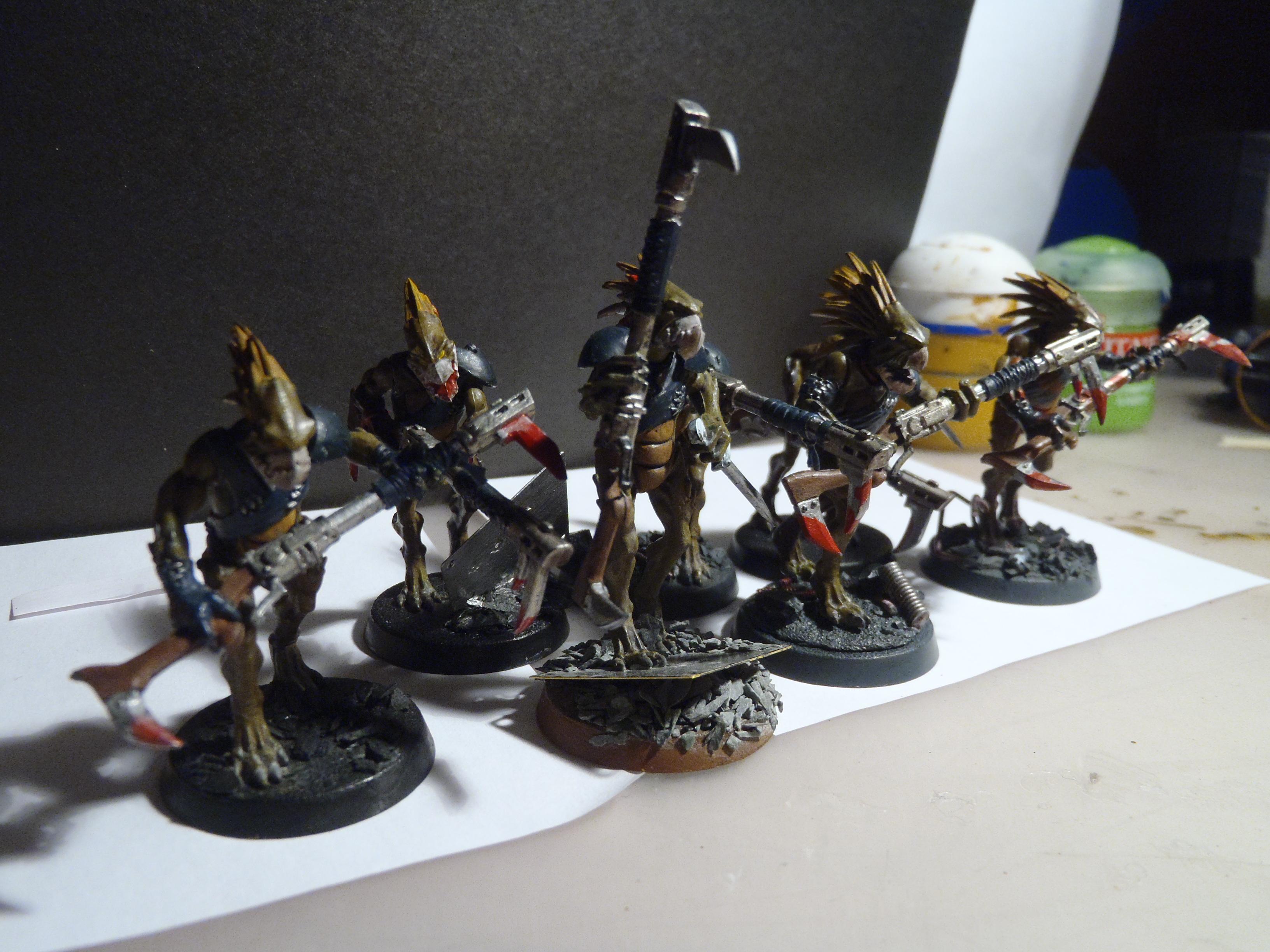 Kroot, Tau, kroots