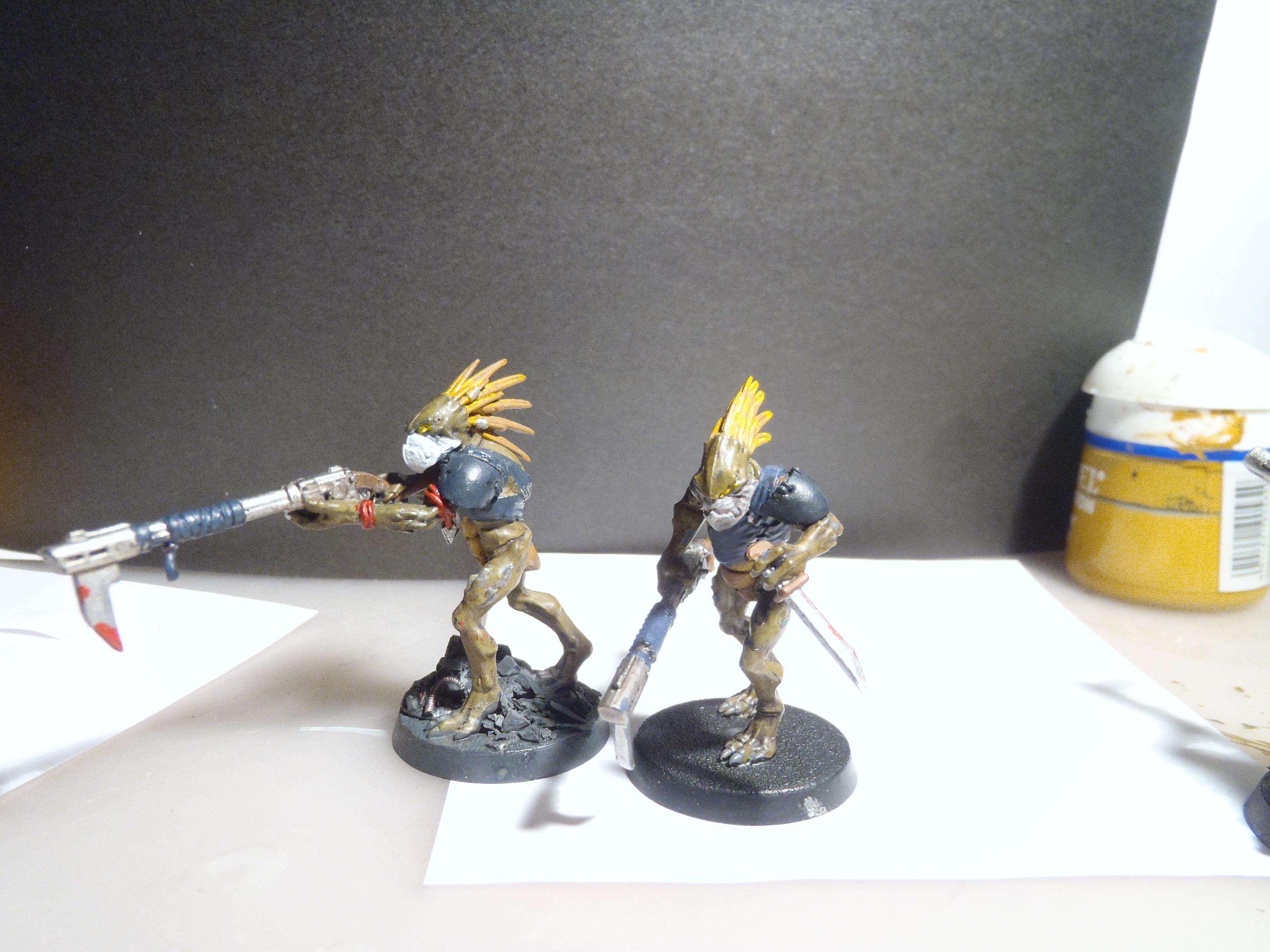 Kroot, Tau, kroots