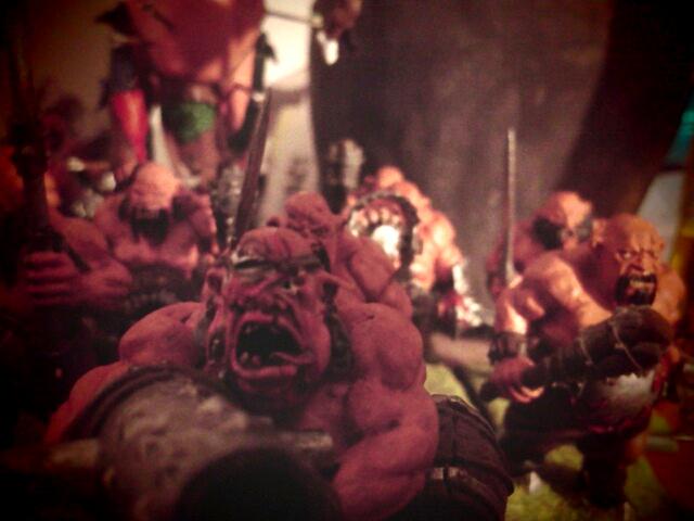 Gore, Leadbelcher, Leadbelcher upclose