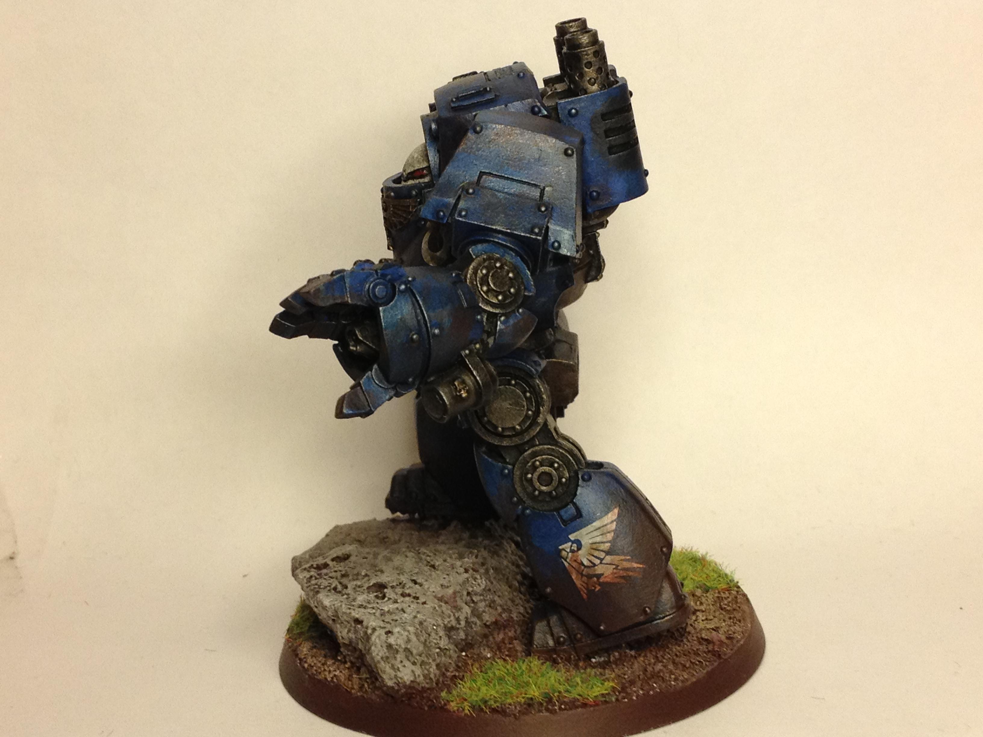 contemptor