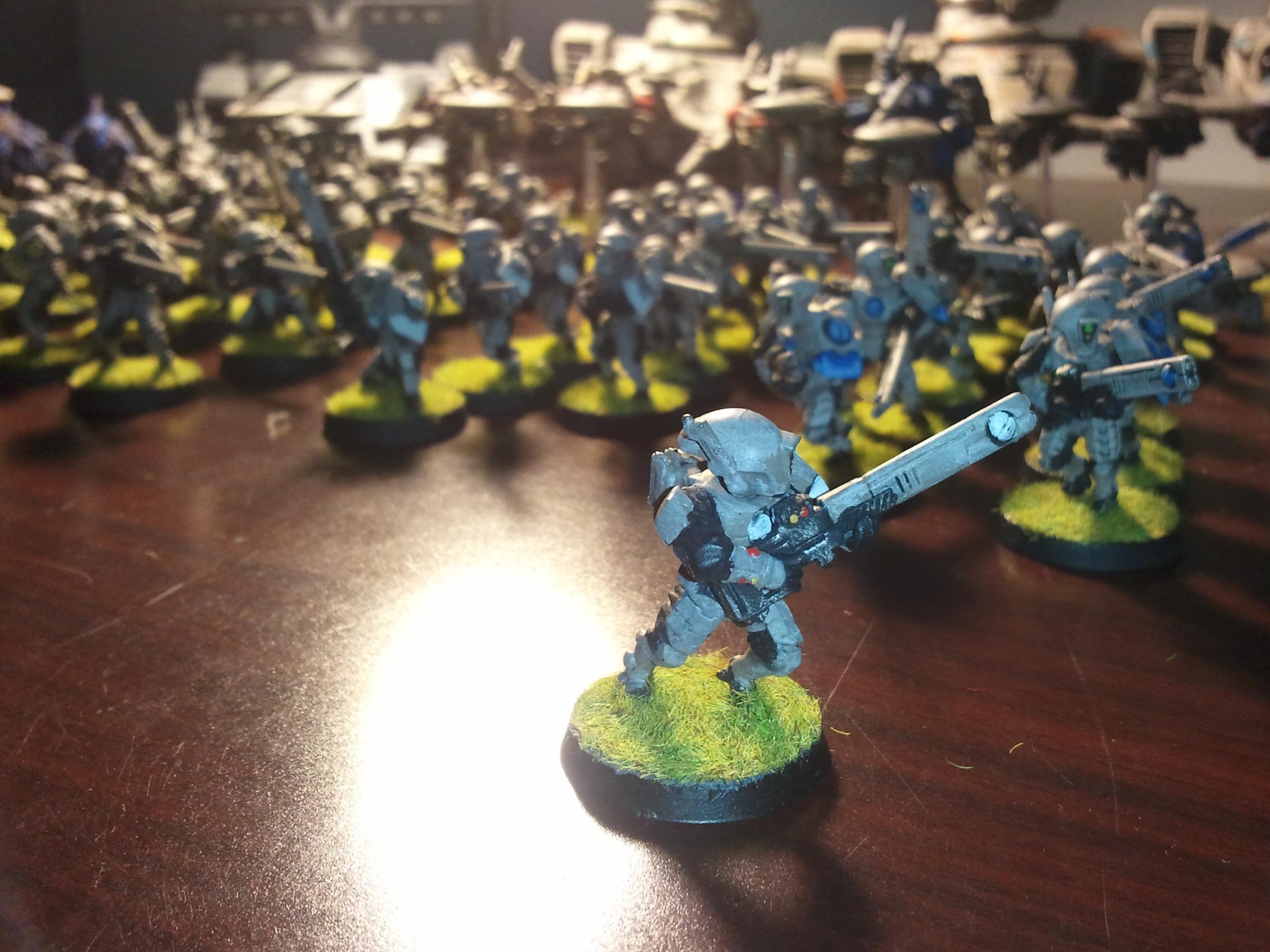 Tau, Tau Warrior