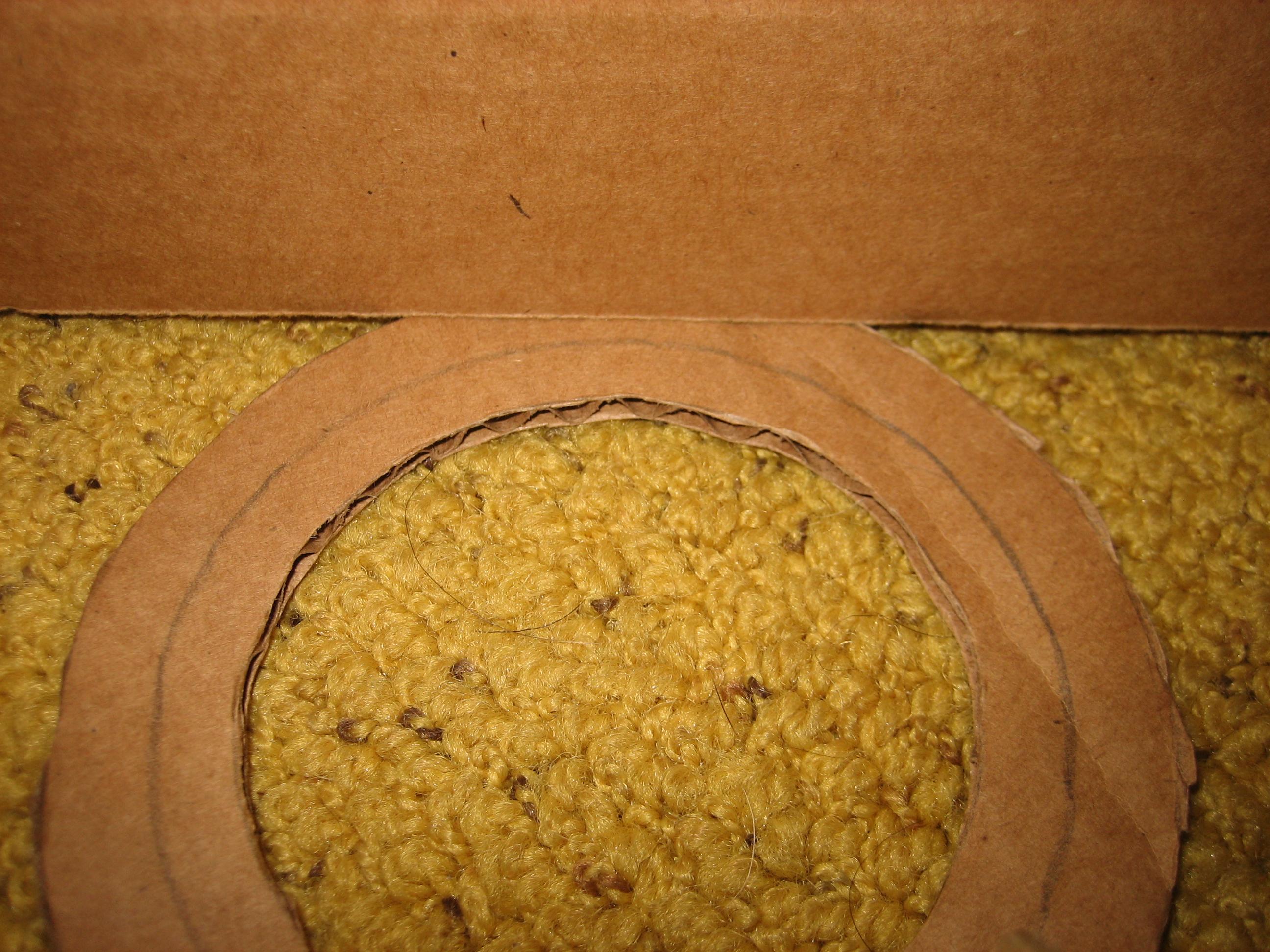Armor, Cardboard, lining close up