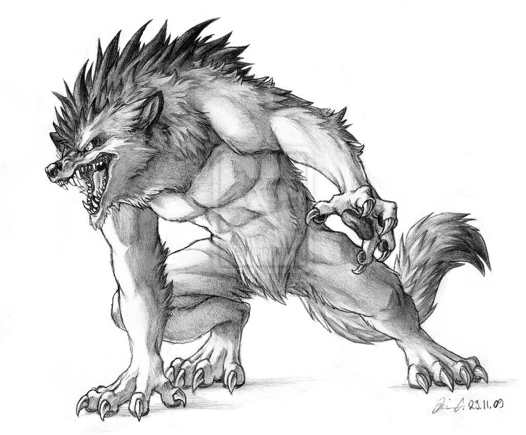 Wolf, Werewolf