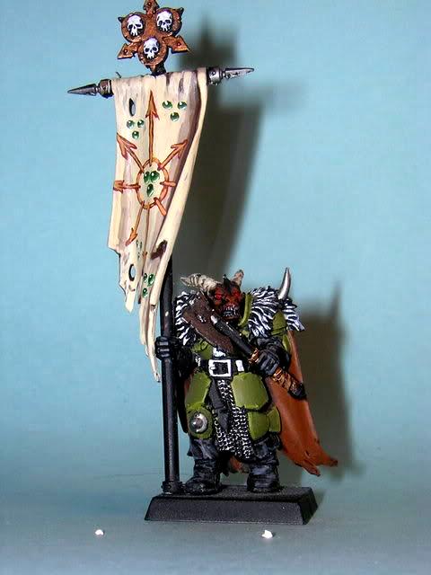 Warriors Of Chaos, Chaos warrior banner
