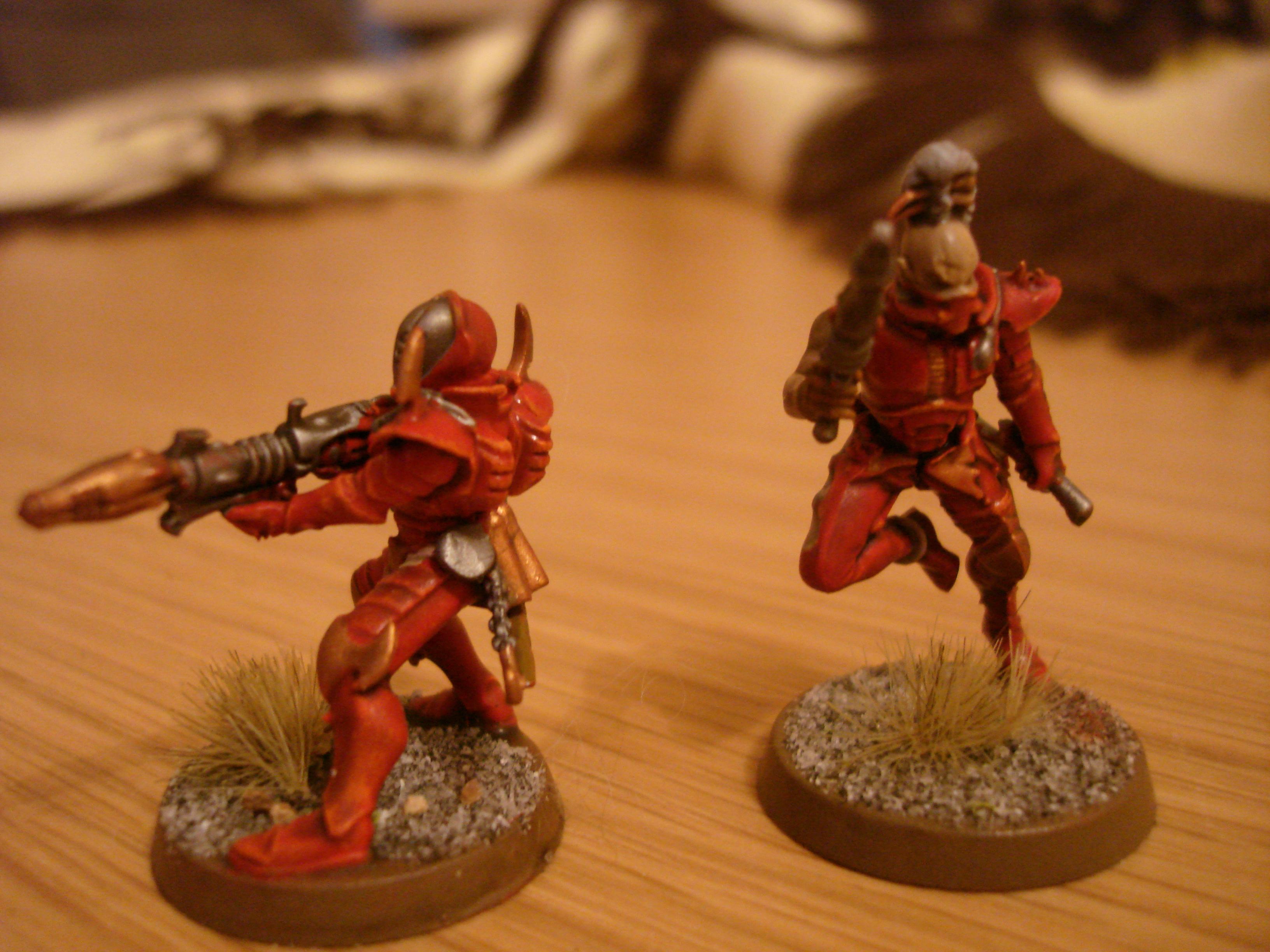 Dark Eldar, Warriors