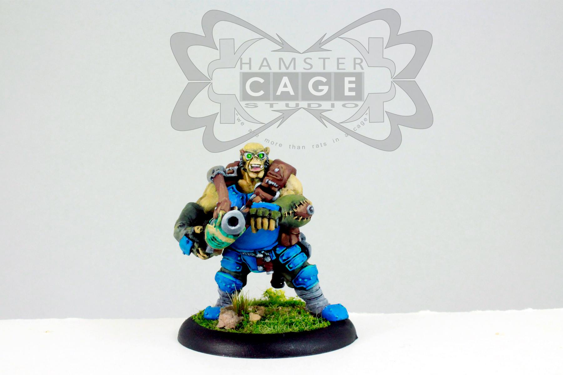 Cygnar, Mercenary