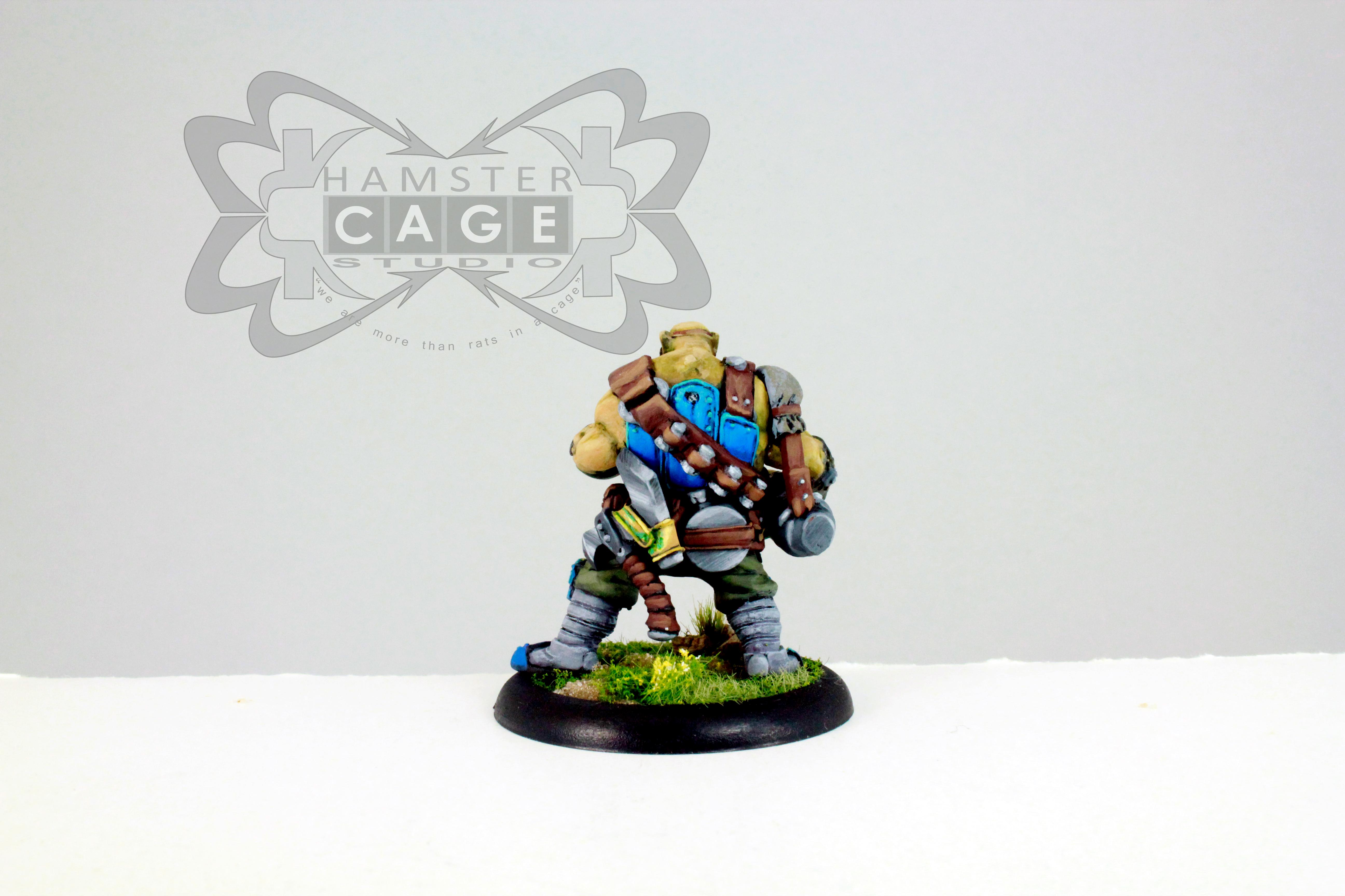 Cygnar, Mercenary