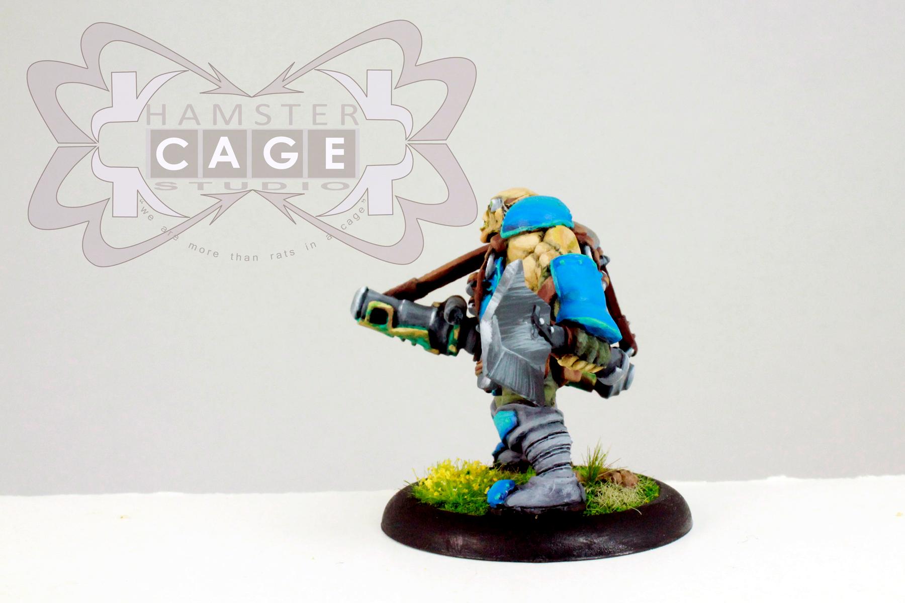 Cygnar, Mercenary