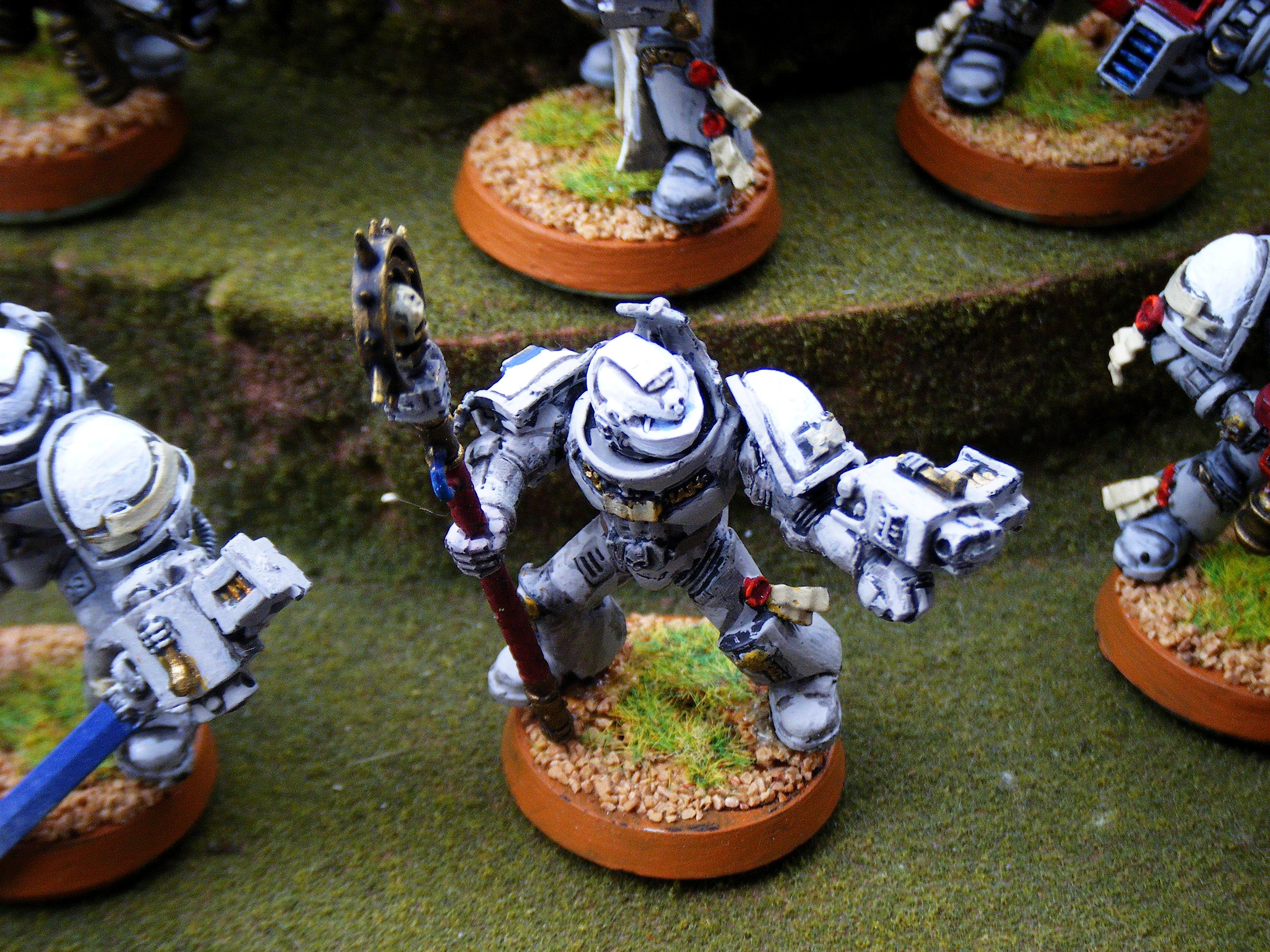 Grey Knights, Purifiers