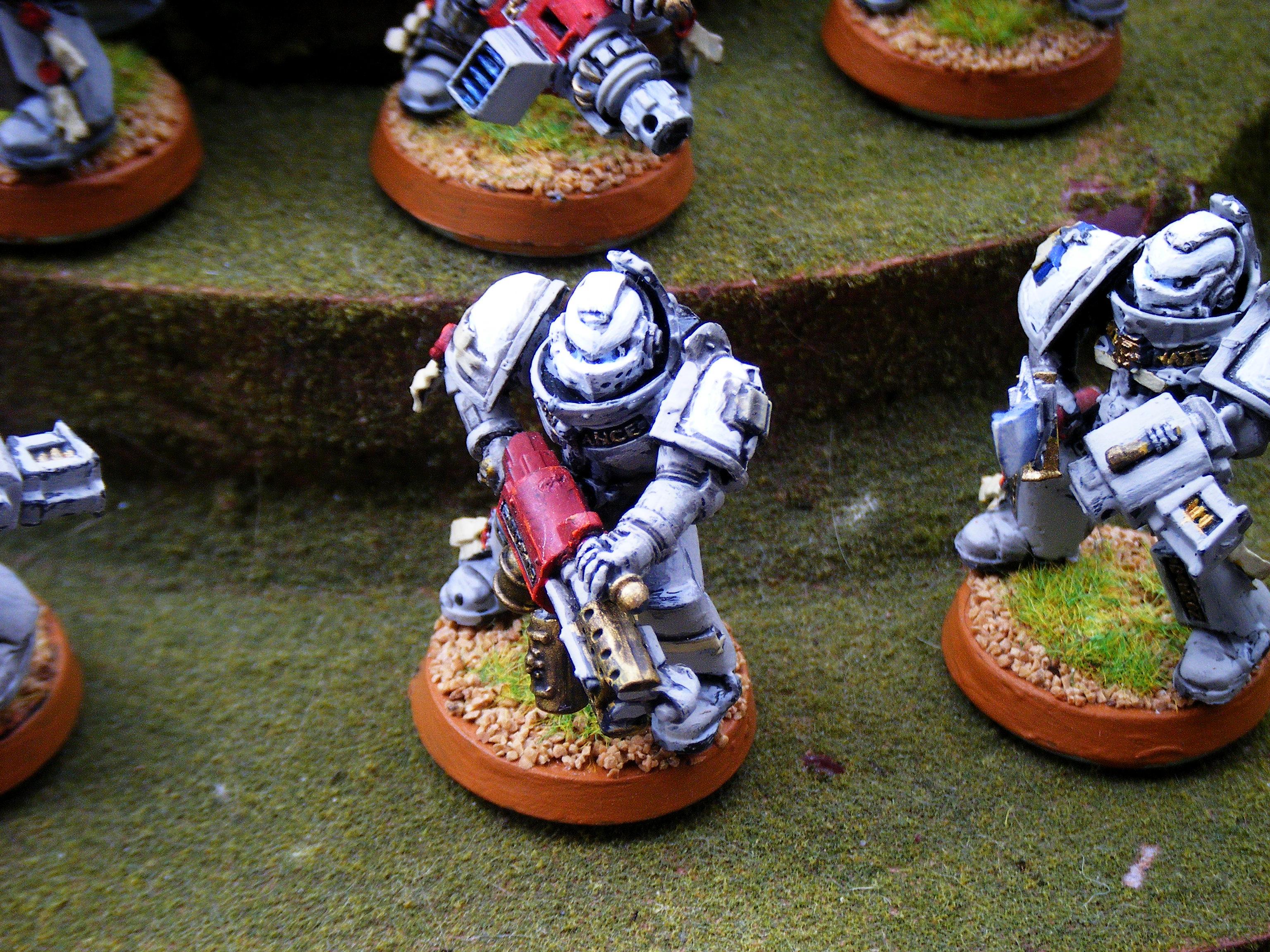 Grey Knights, Purifiers