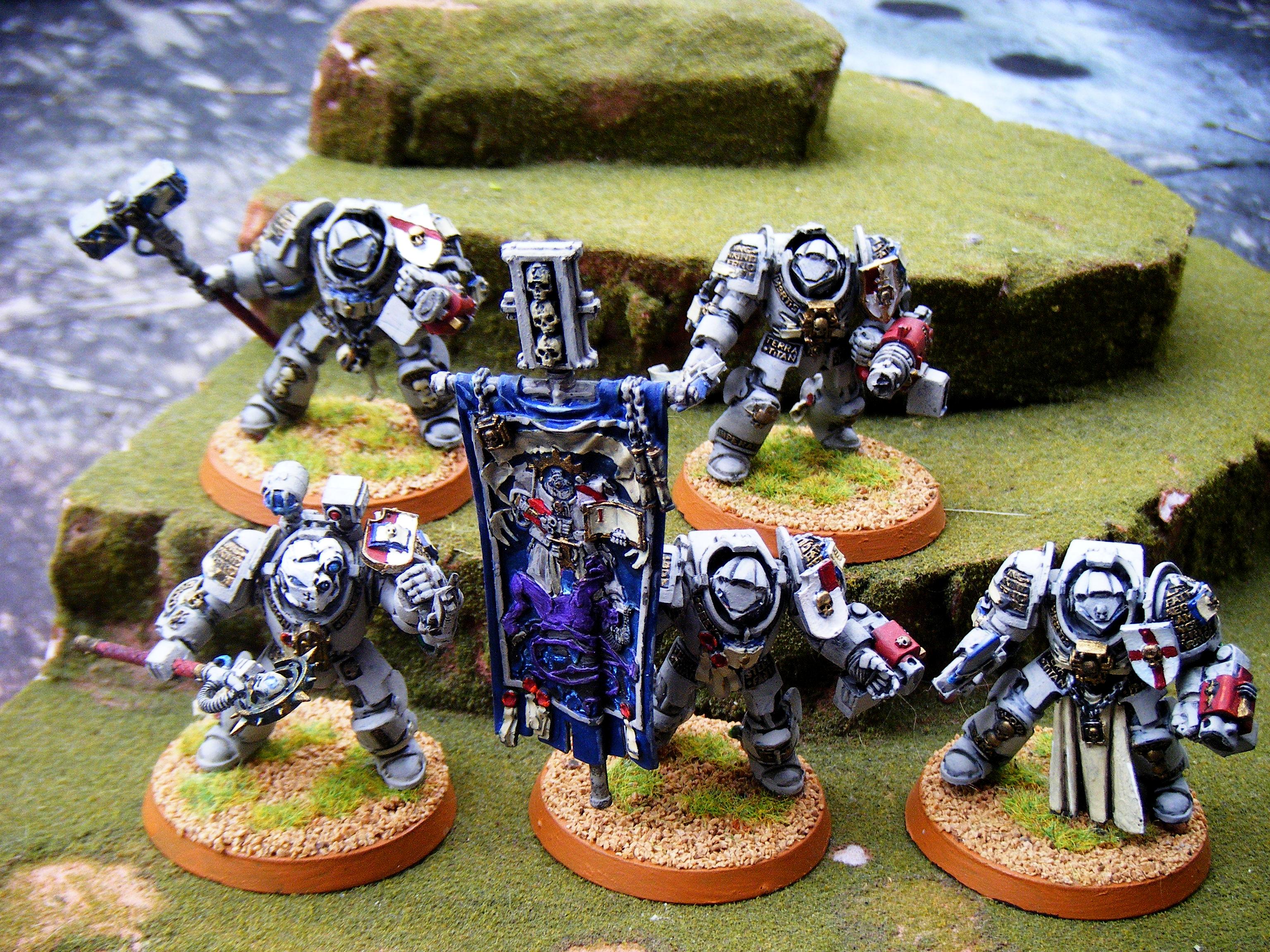 Grey Knights, Paladins