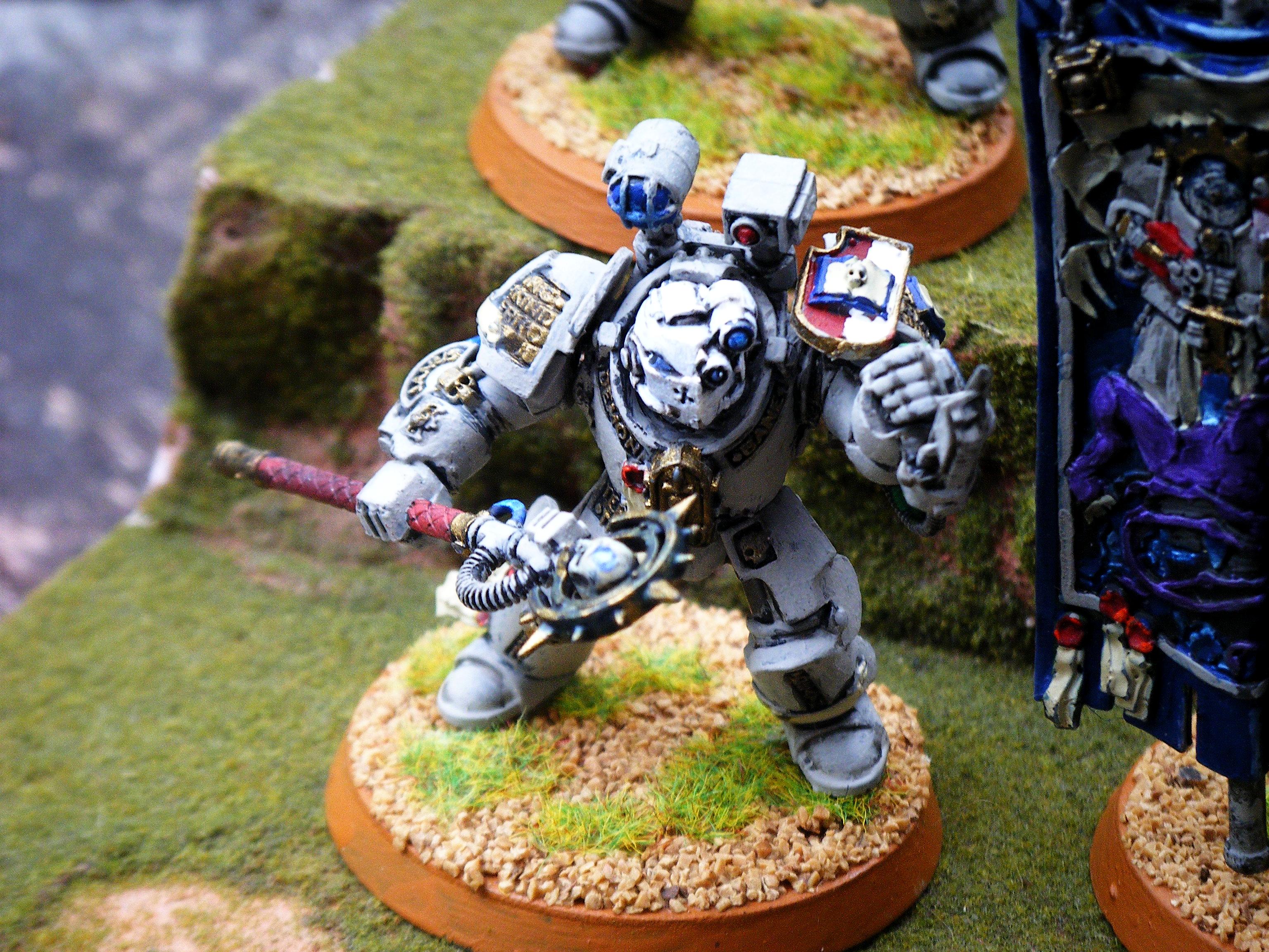 Grey Knights, Paladins