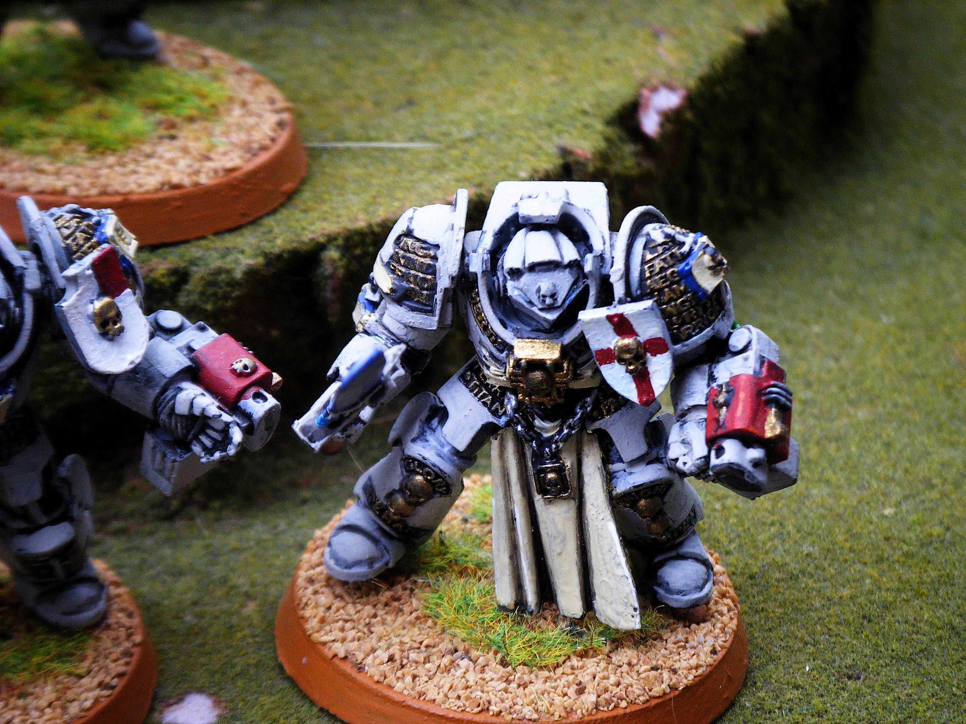 Grey Knights, Paladins