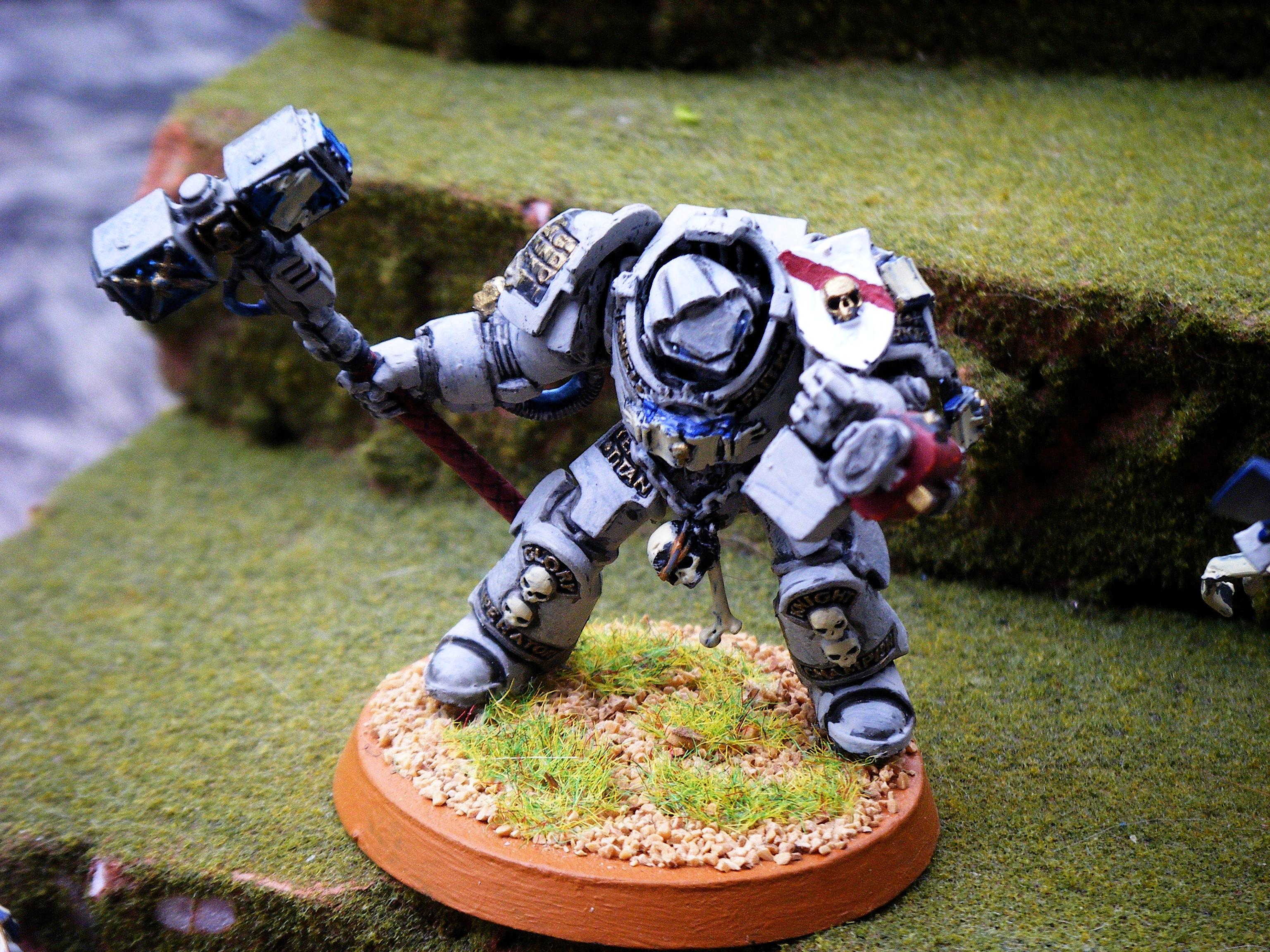 Grey Knights, Paladins
