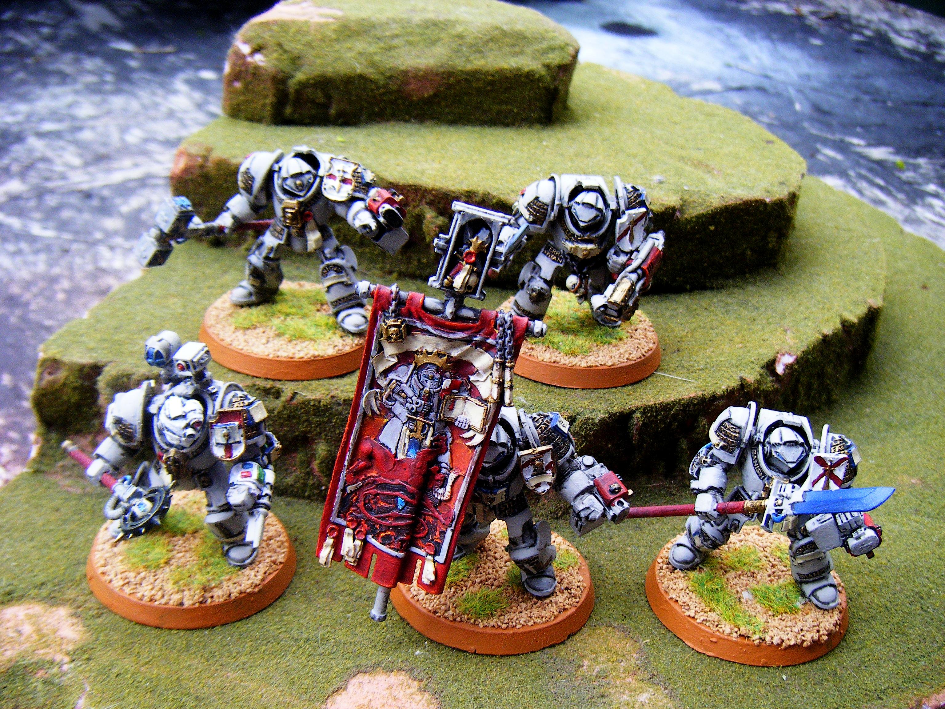 Grey Knights, Paladins