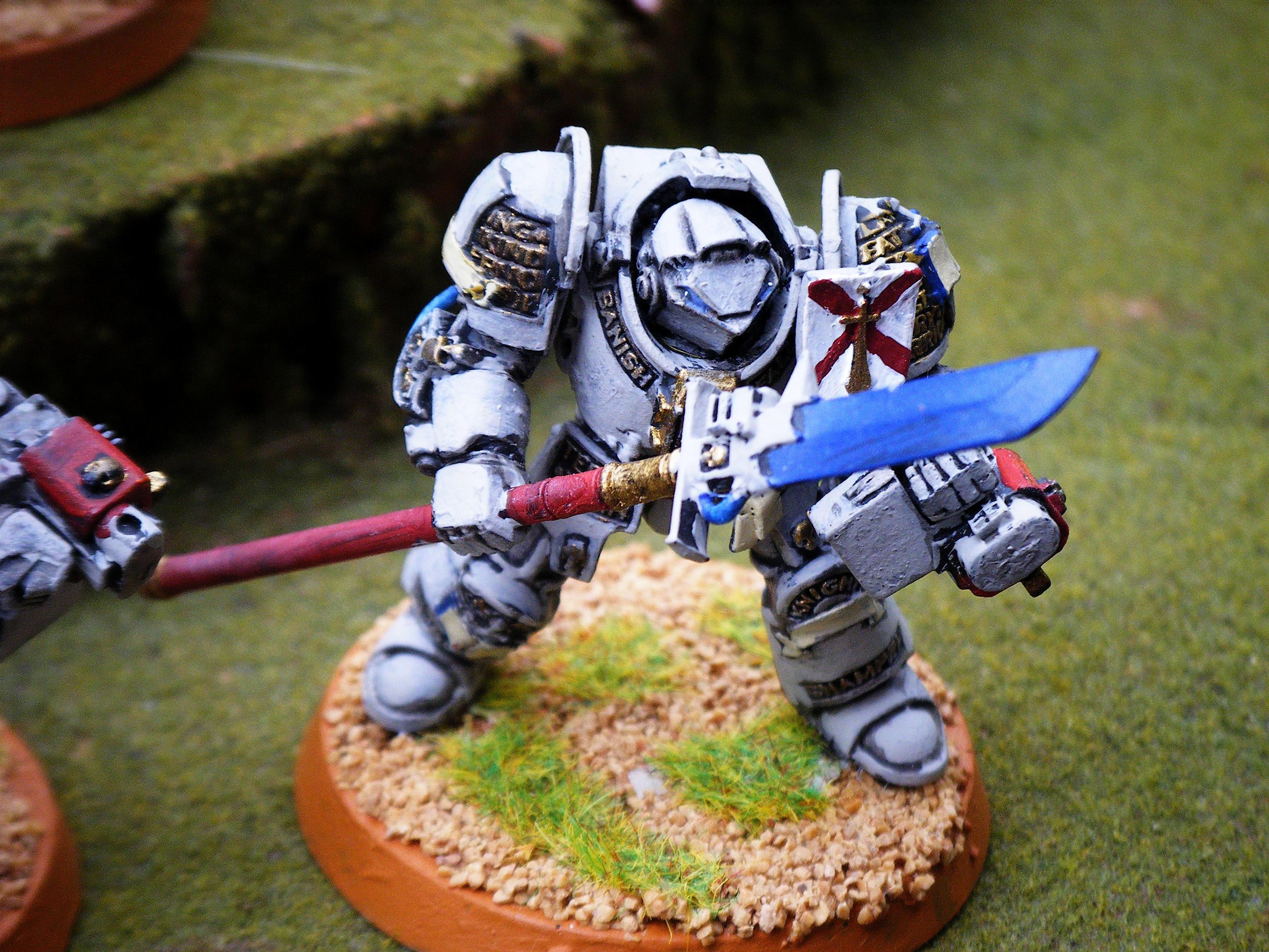 Grey Knights, Paladin