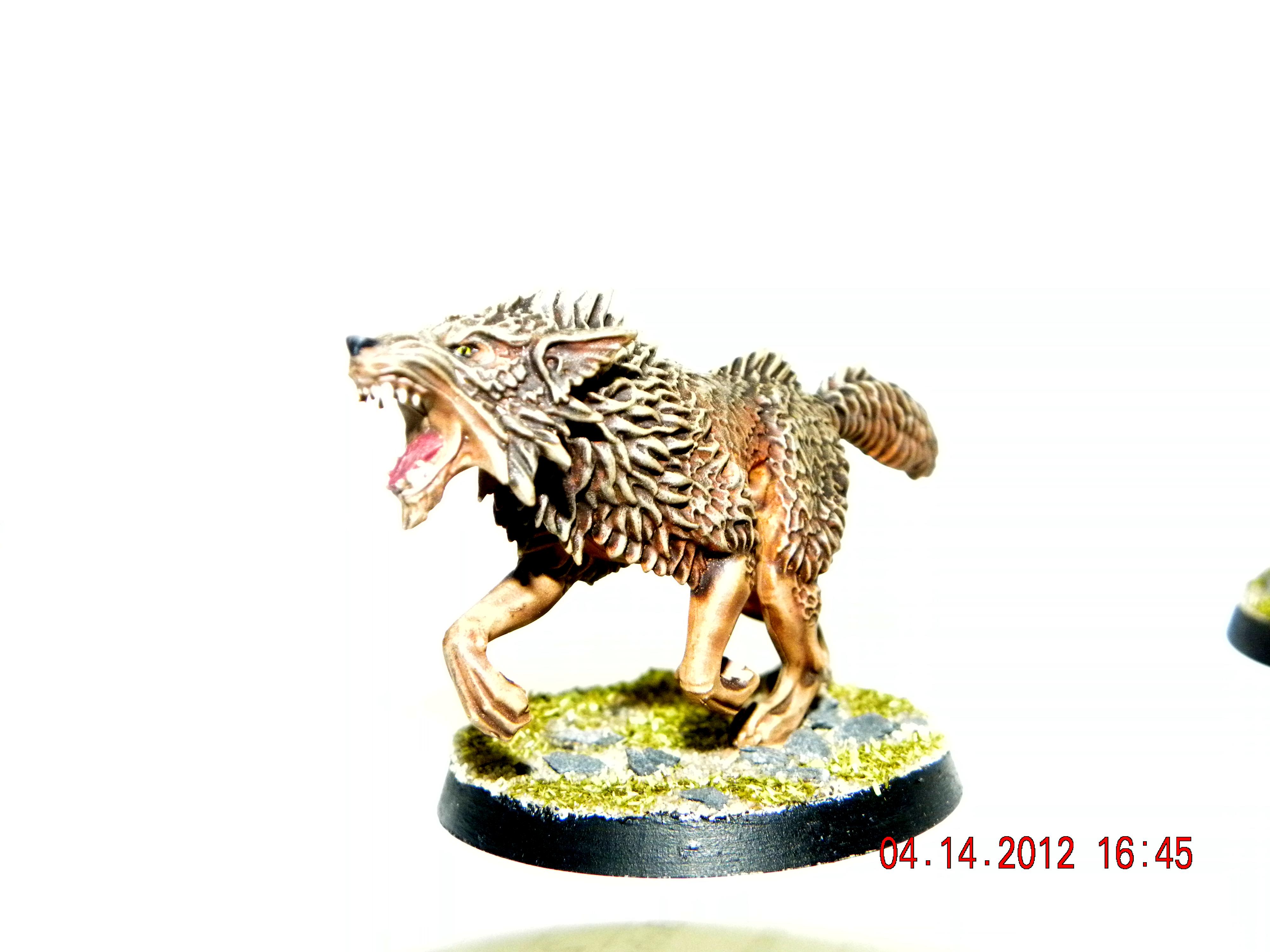 Space Wolves, Fenrision wolf