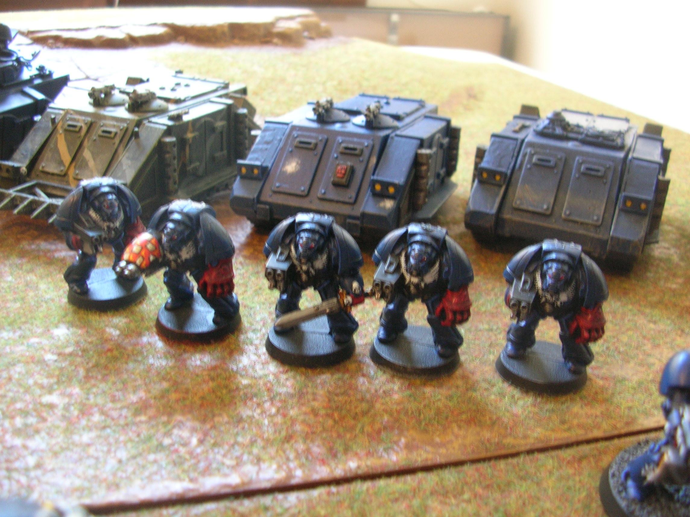 Crimson Fists, Space Marines, Whole Army