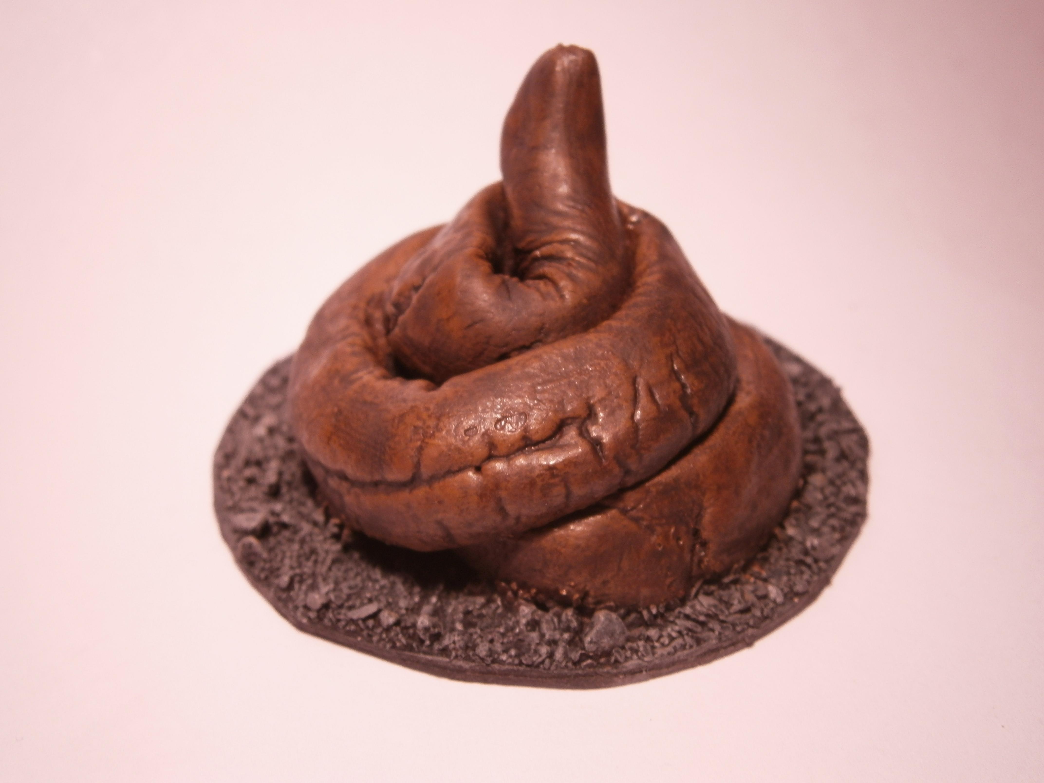 Crap, Defecation, Discharge, Dung, Excrement, Fecal Matter, Feces, Feculence, Flux, Manure, Number Two, Objective Marker, Poo, Stool, Turd, Waste