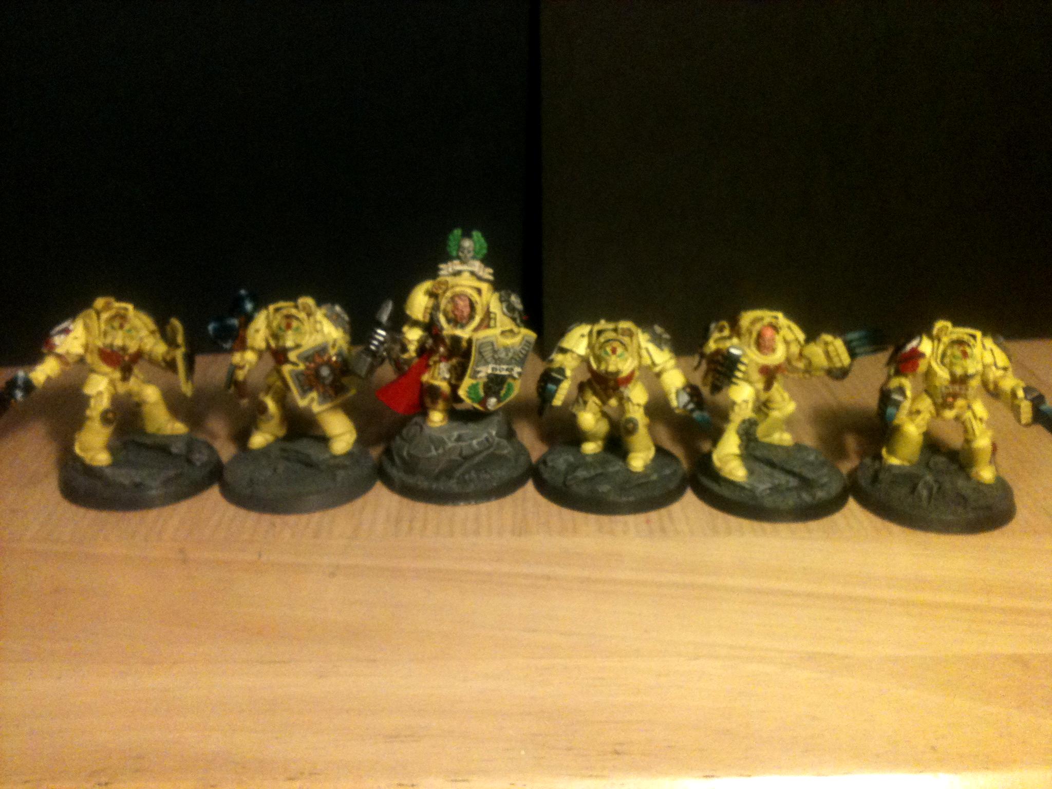 Imperial Fists, Imperial fists 1st Company terminator Squad