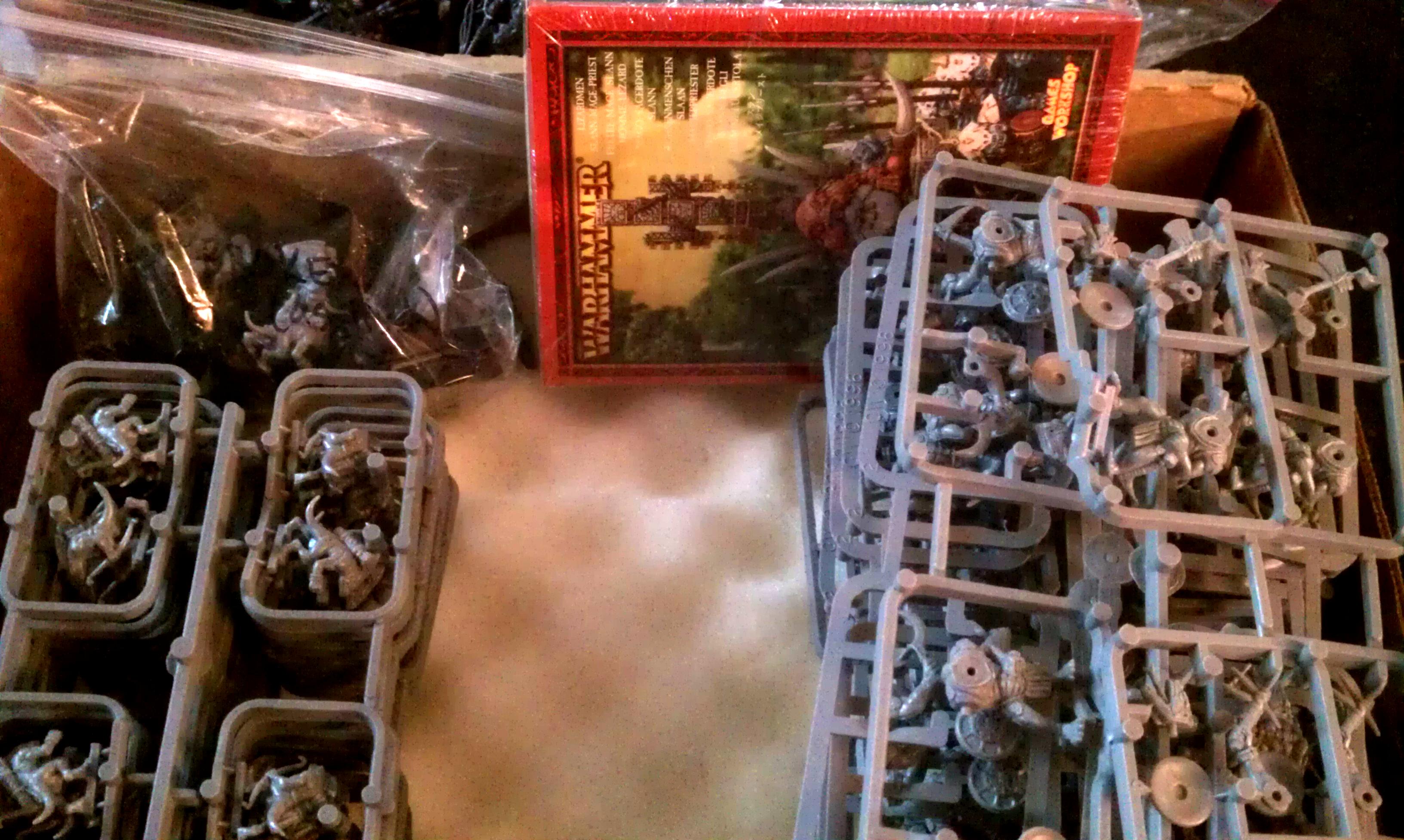 old skinks and warriors