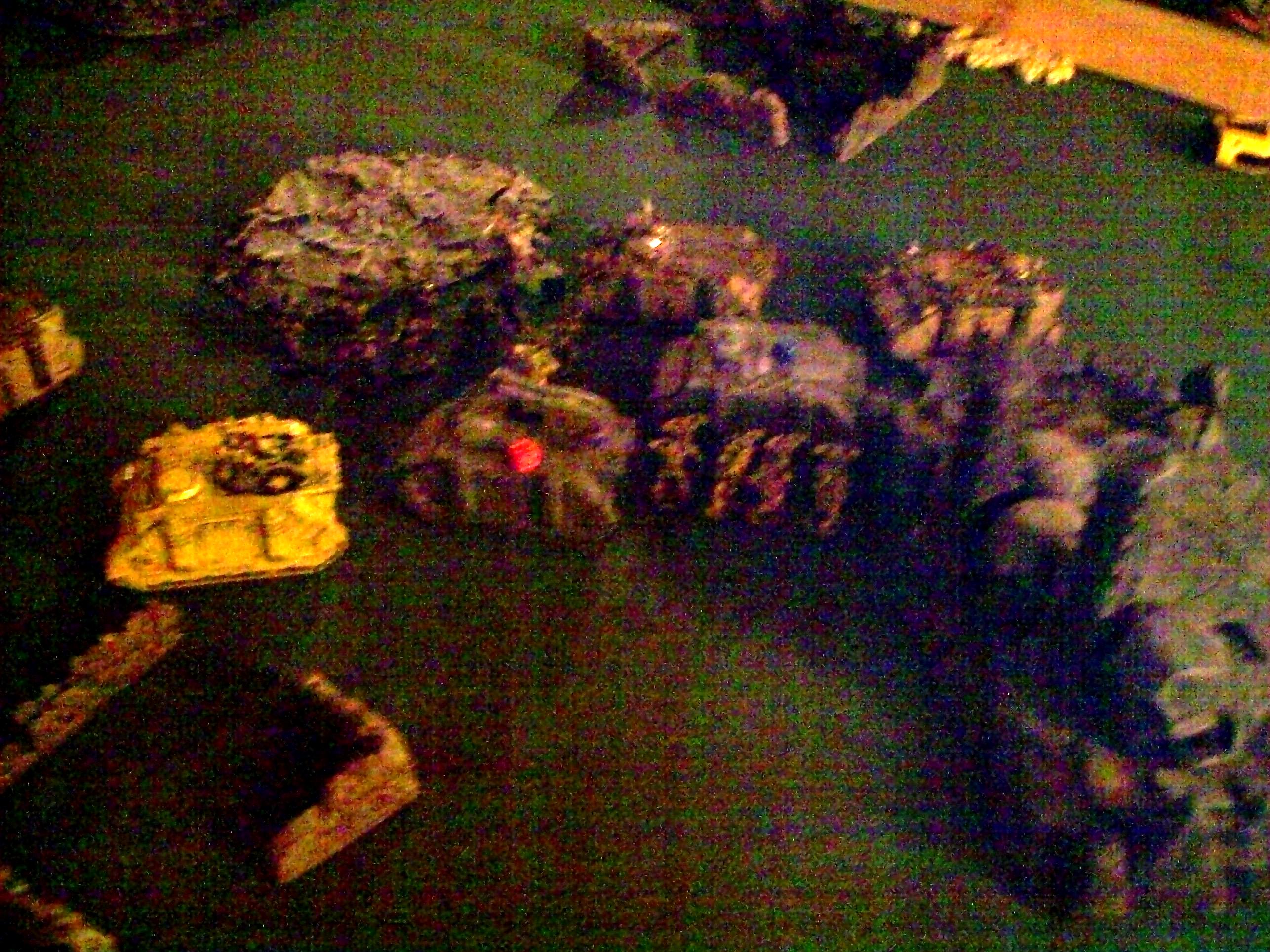 Battle, Report, Plague Marines vs Death Guard 1850 Turn 2b