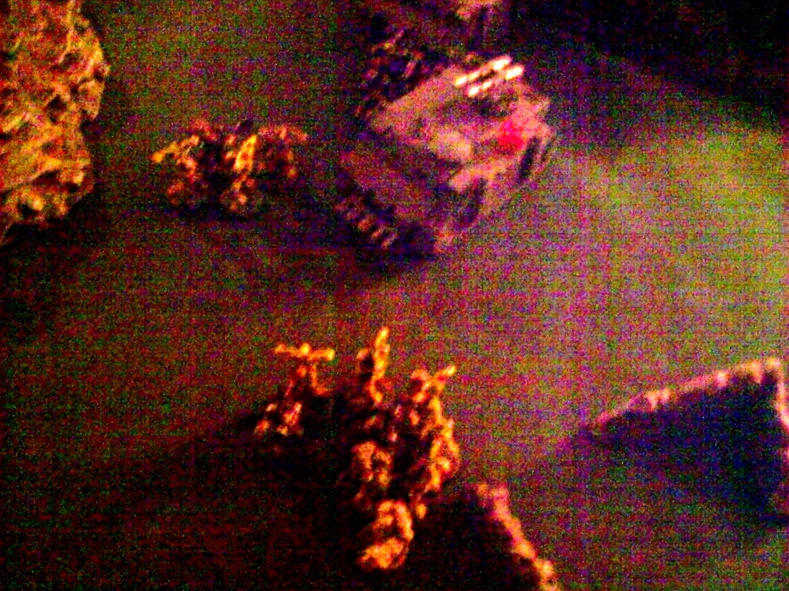 Battle, Report, Plague Marines vs Death Guard 1850 Turn 5b