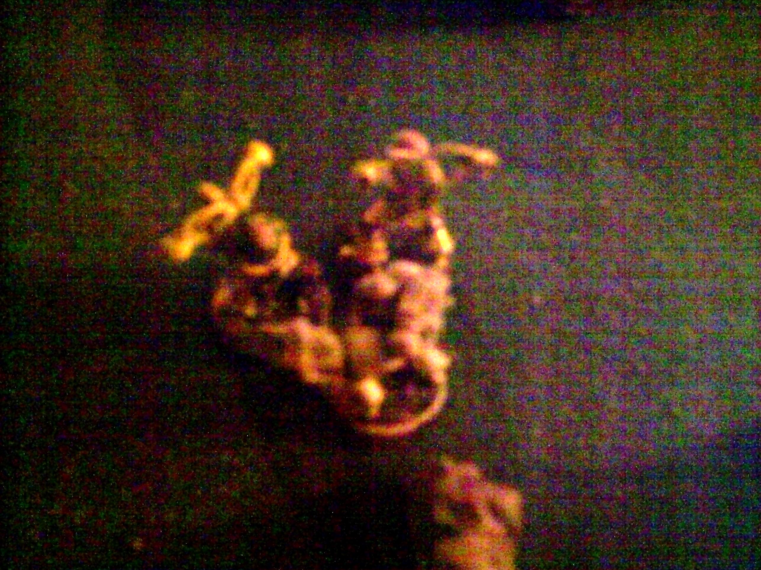 Battle, Report, Plague Marines vs Death Guard 1850 Turn 7