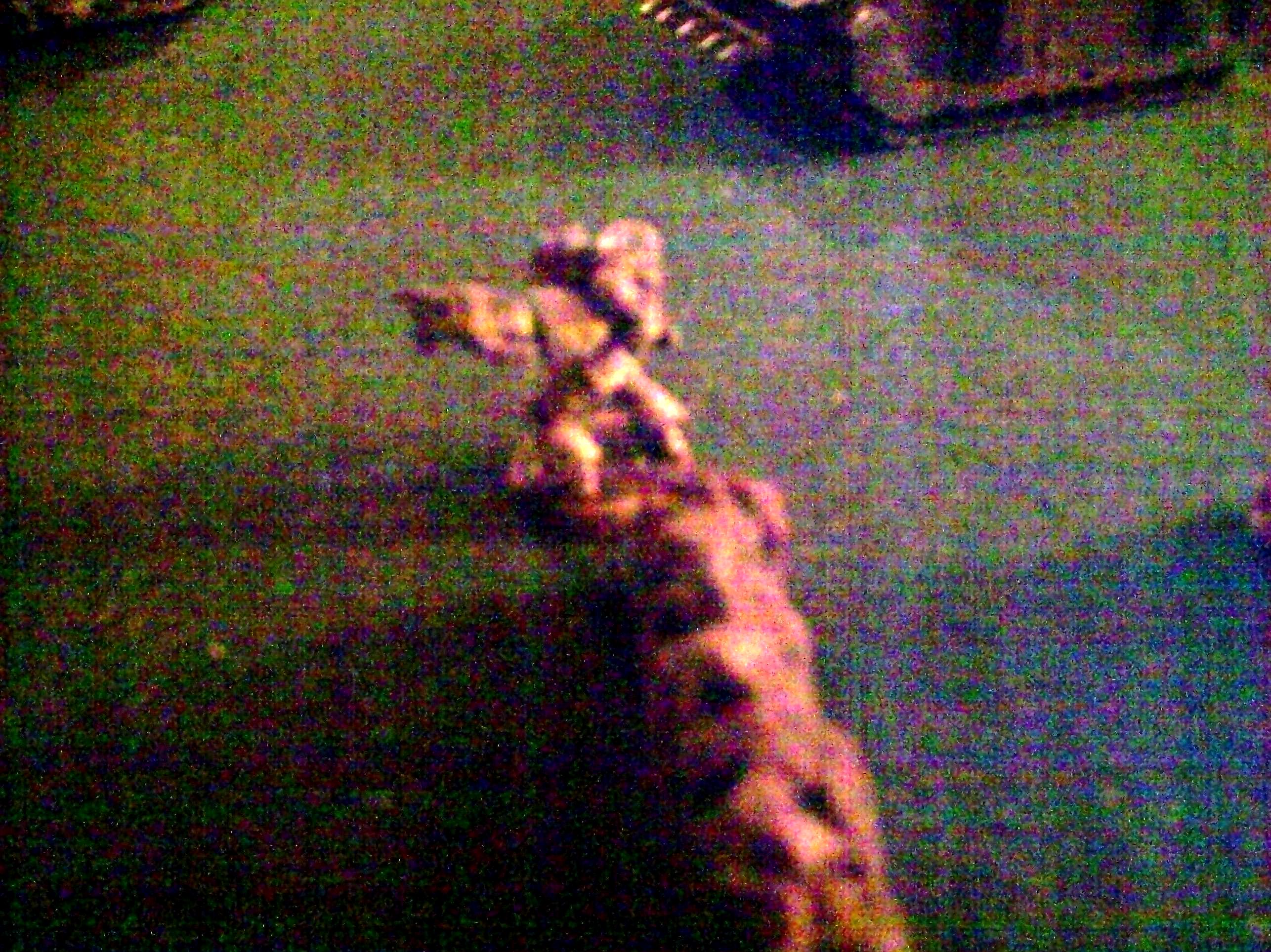 Battle, Report, Plague Marines vs Death Guard 1850 Turn 7b
