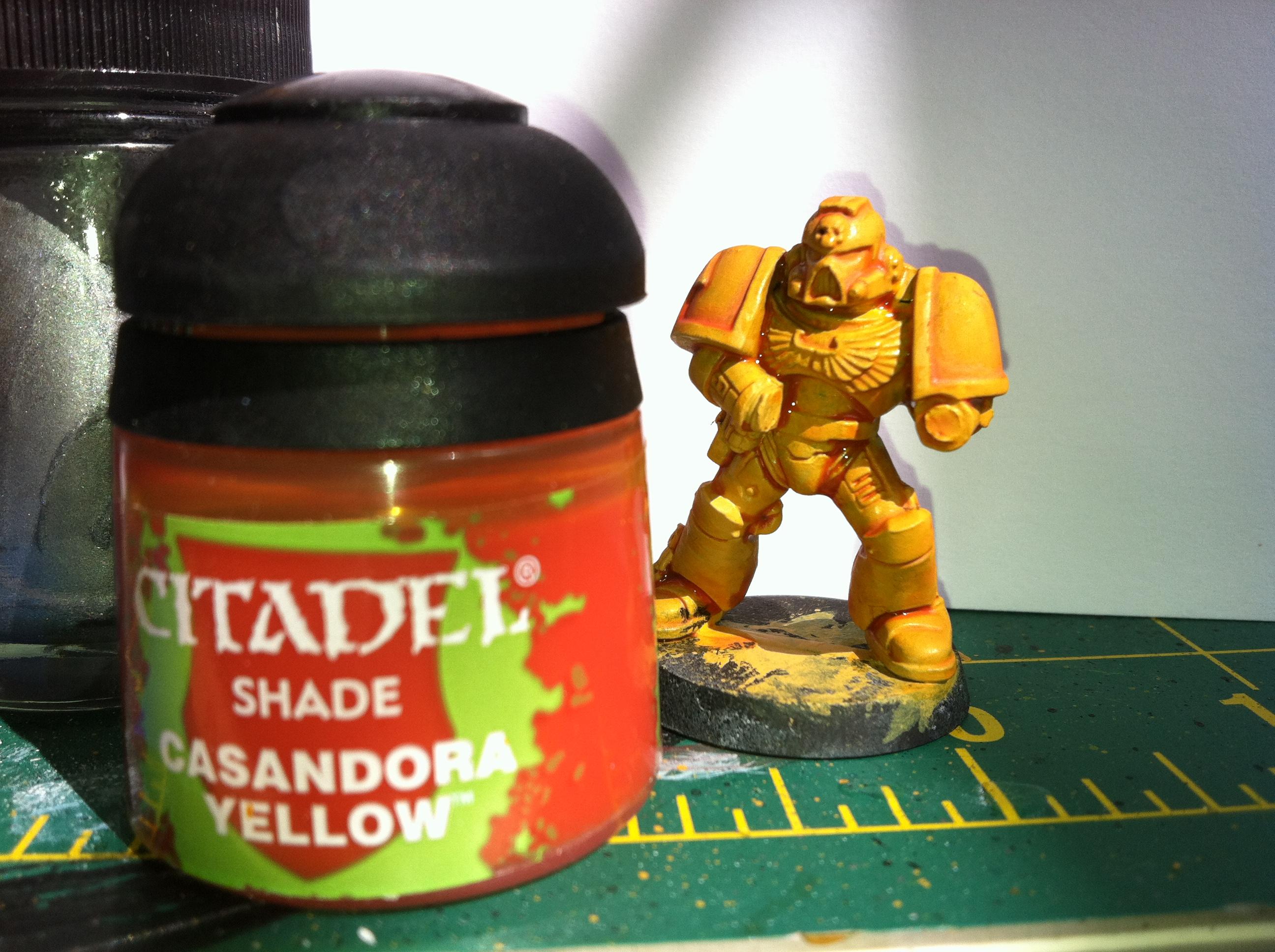 Casandora Yellow