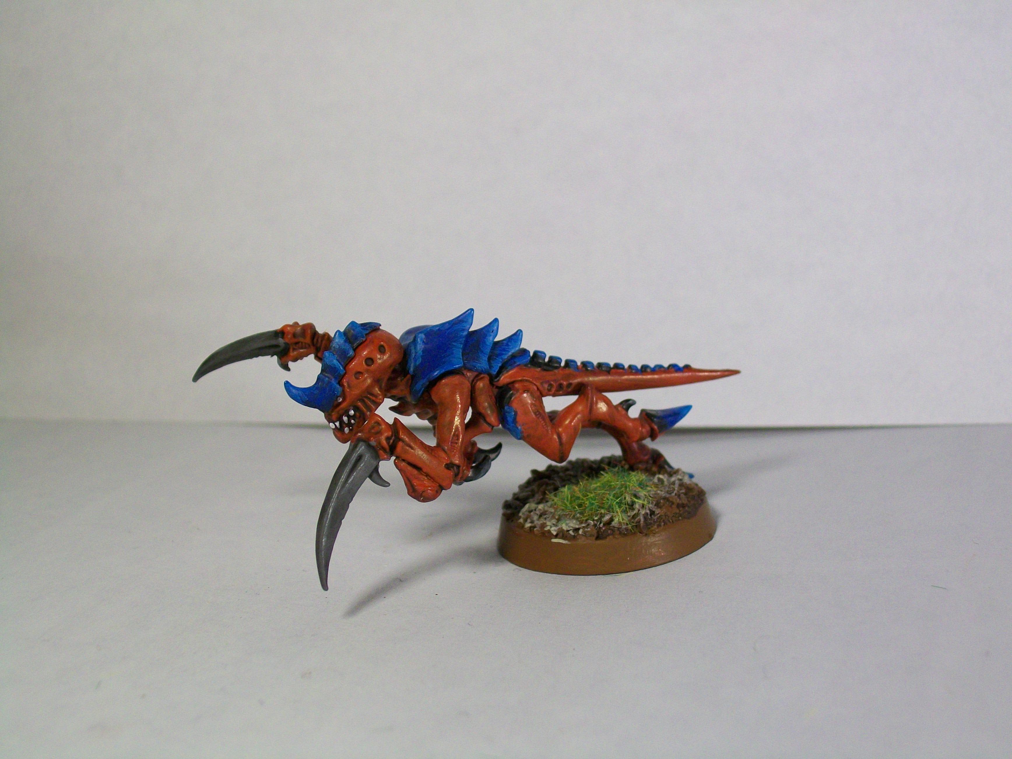 Test model