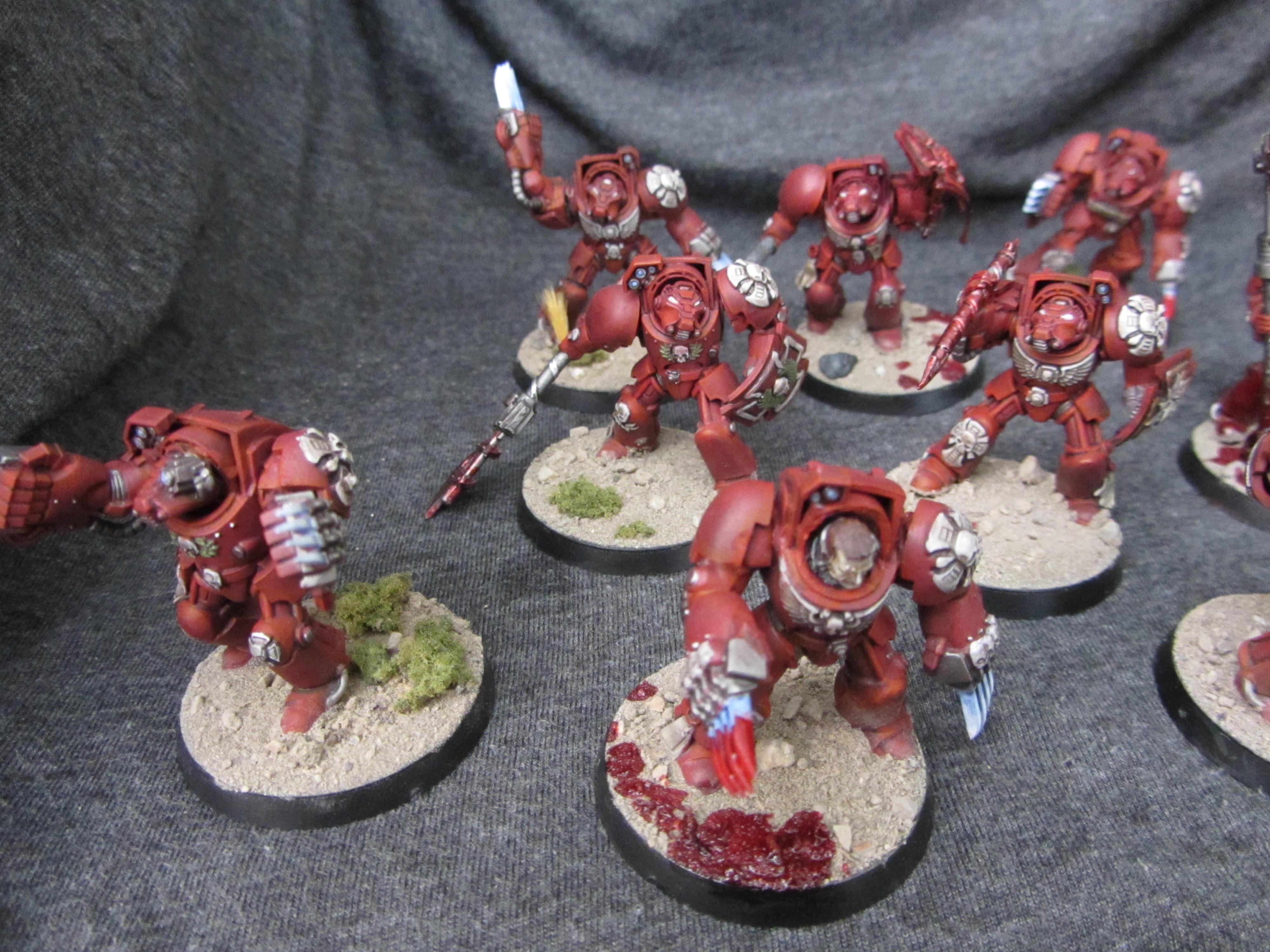 Blood Angels, Space Marines, Terminator Armor, Tew, Warhammer 40,000