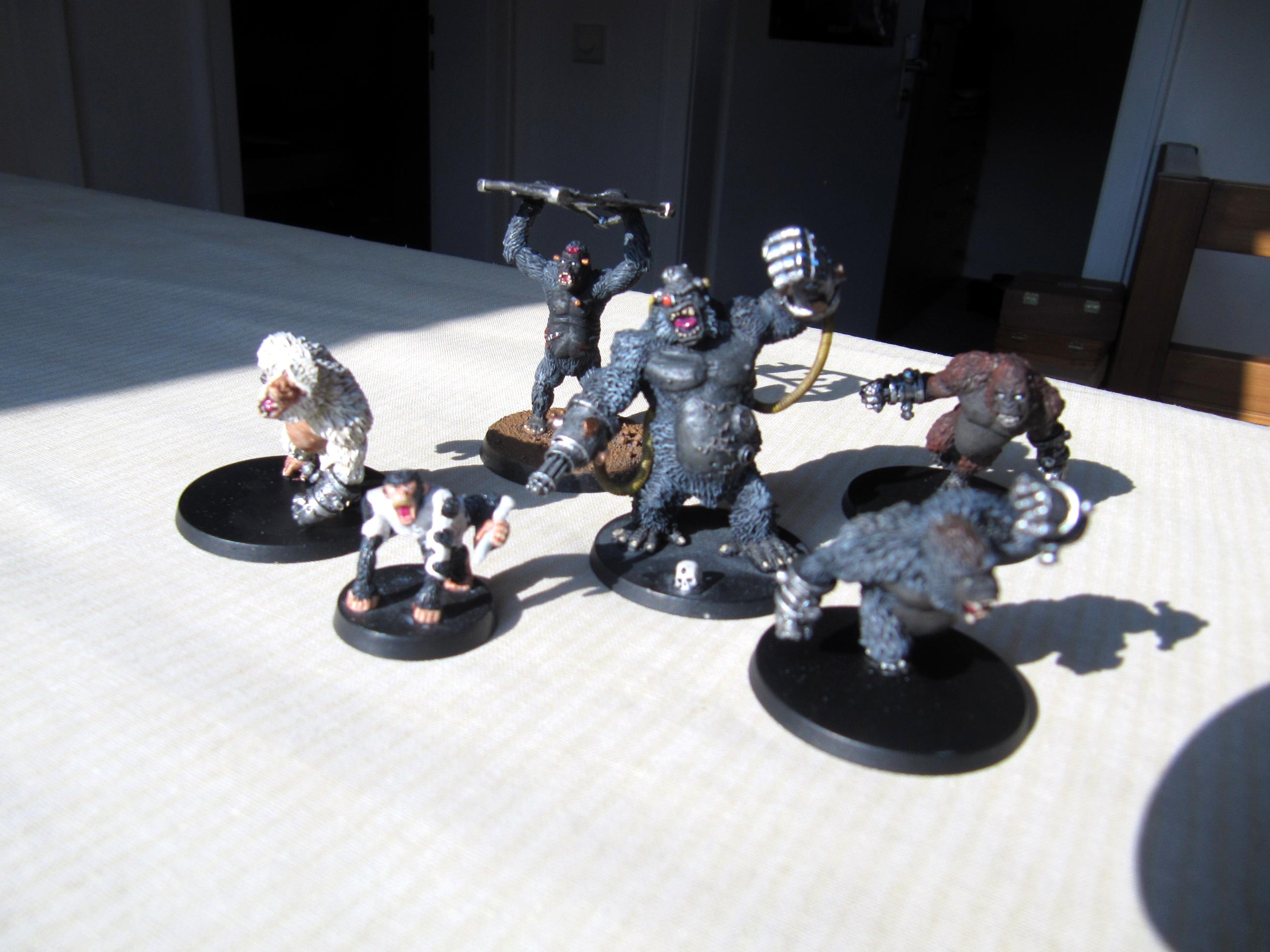 Affe, Ape, Cyborg, Gorilla, Kriegaffe, Monkey