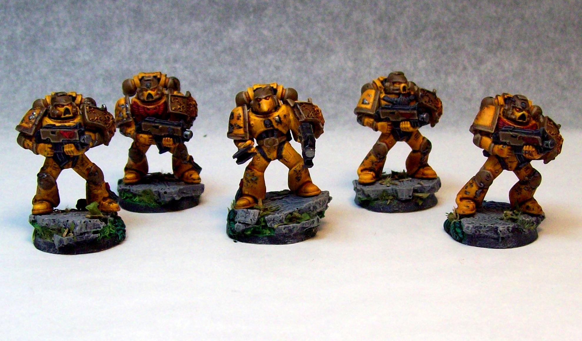 Space Marines, Tactical Squad