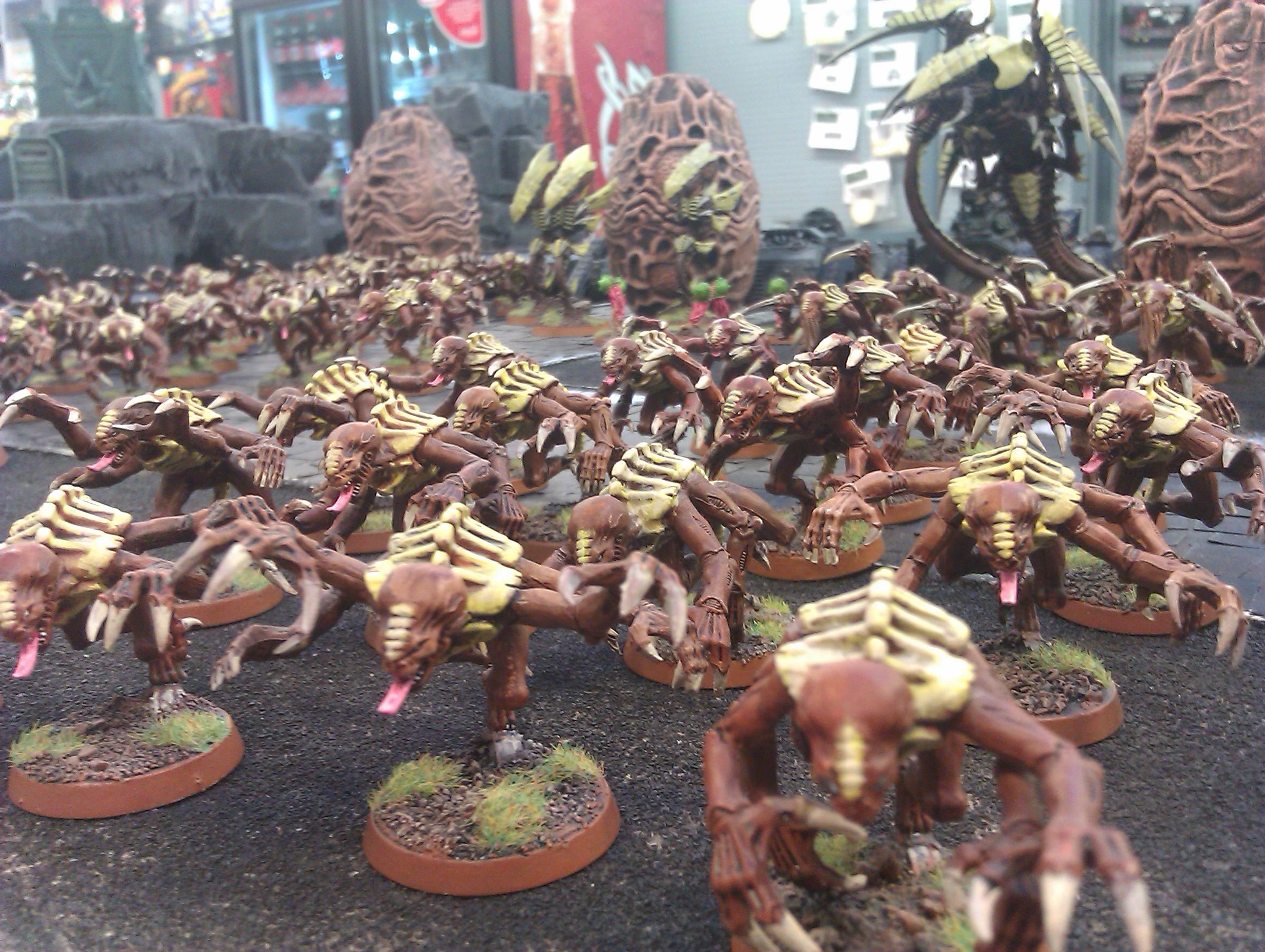 Battle Report, Imperial Guard, Pdf, Space Marines, Tyranids, Ultramarines