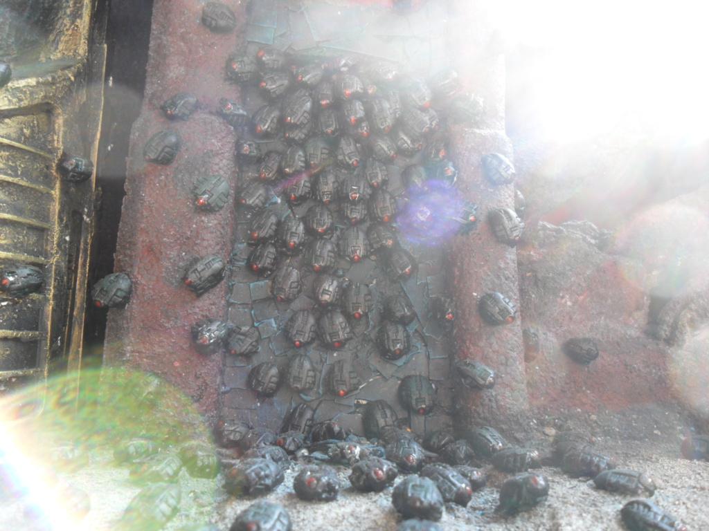 Scarabs