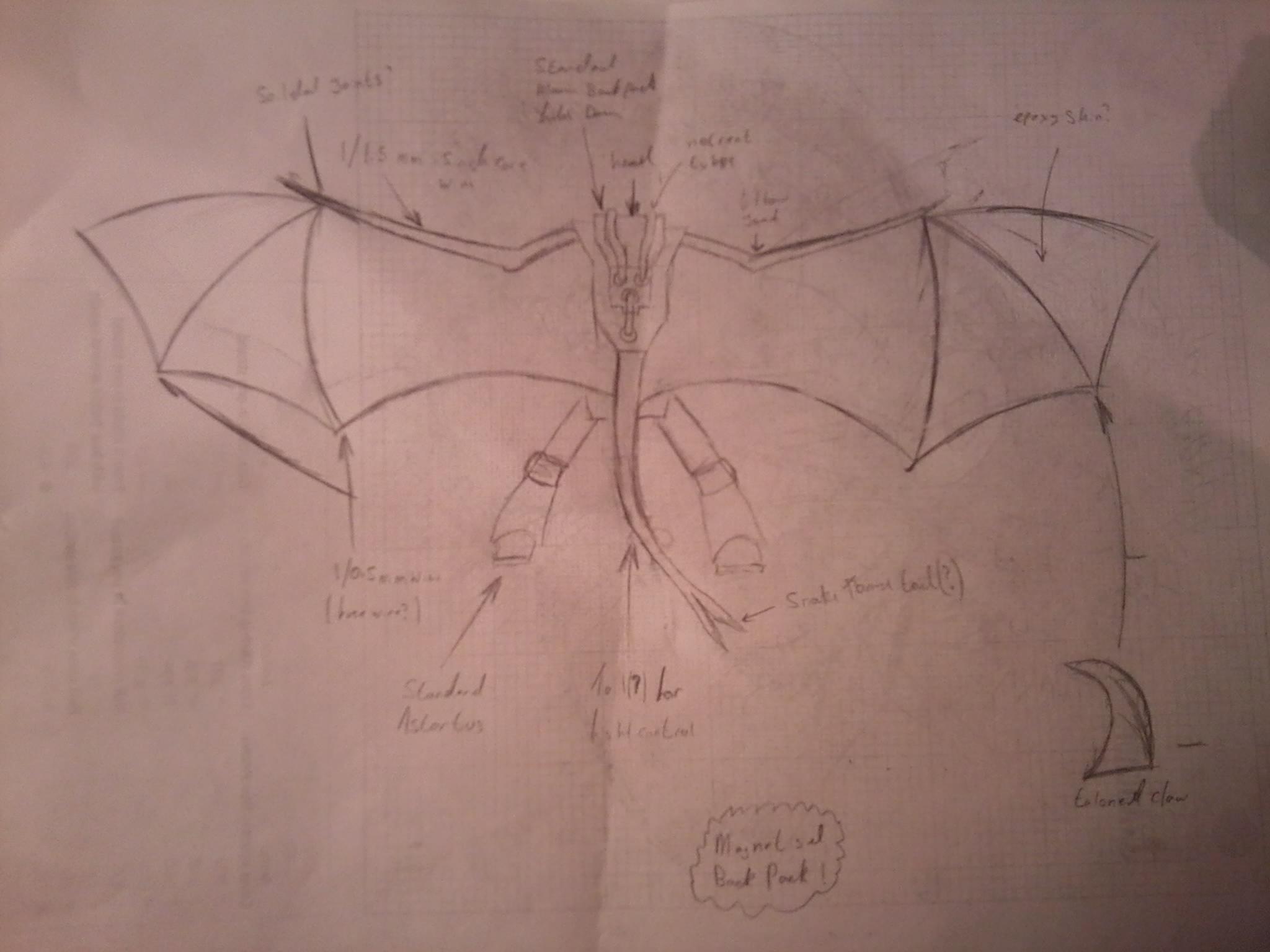 First Draft