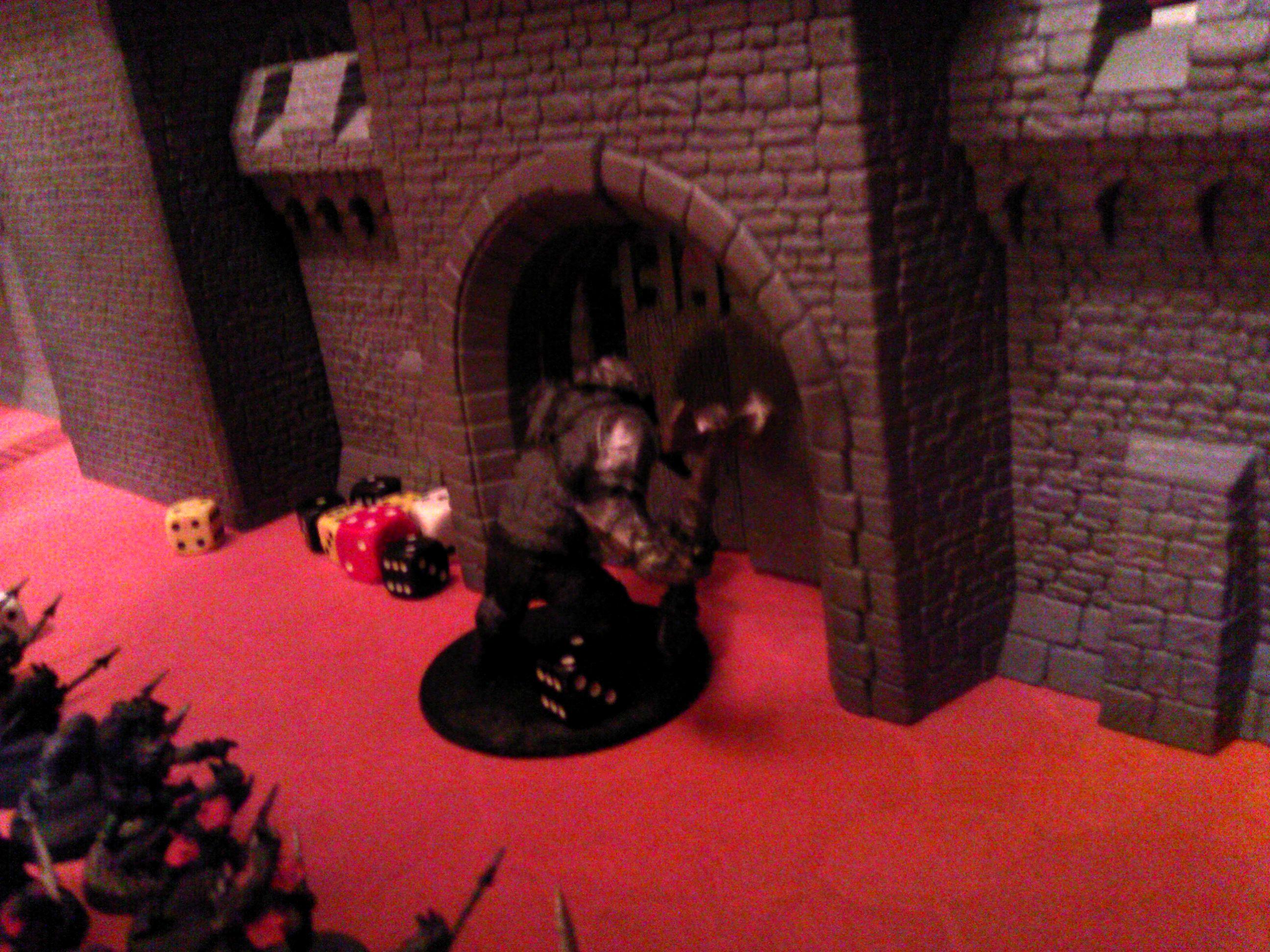 Siege!6