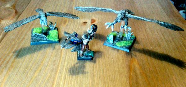 Falconer, Great Eagles, Skaw, Warhammer Fantasy, Wood Elves