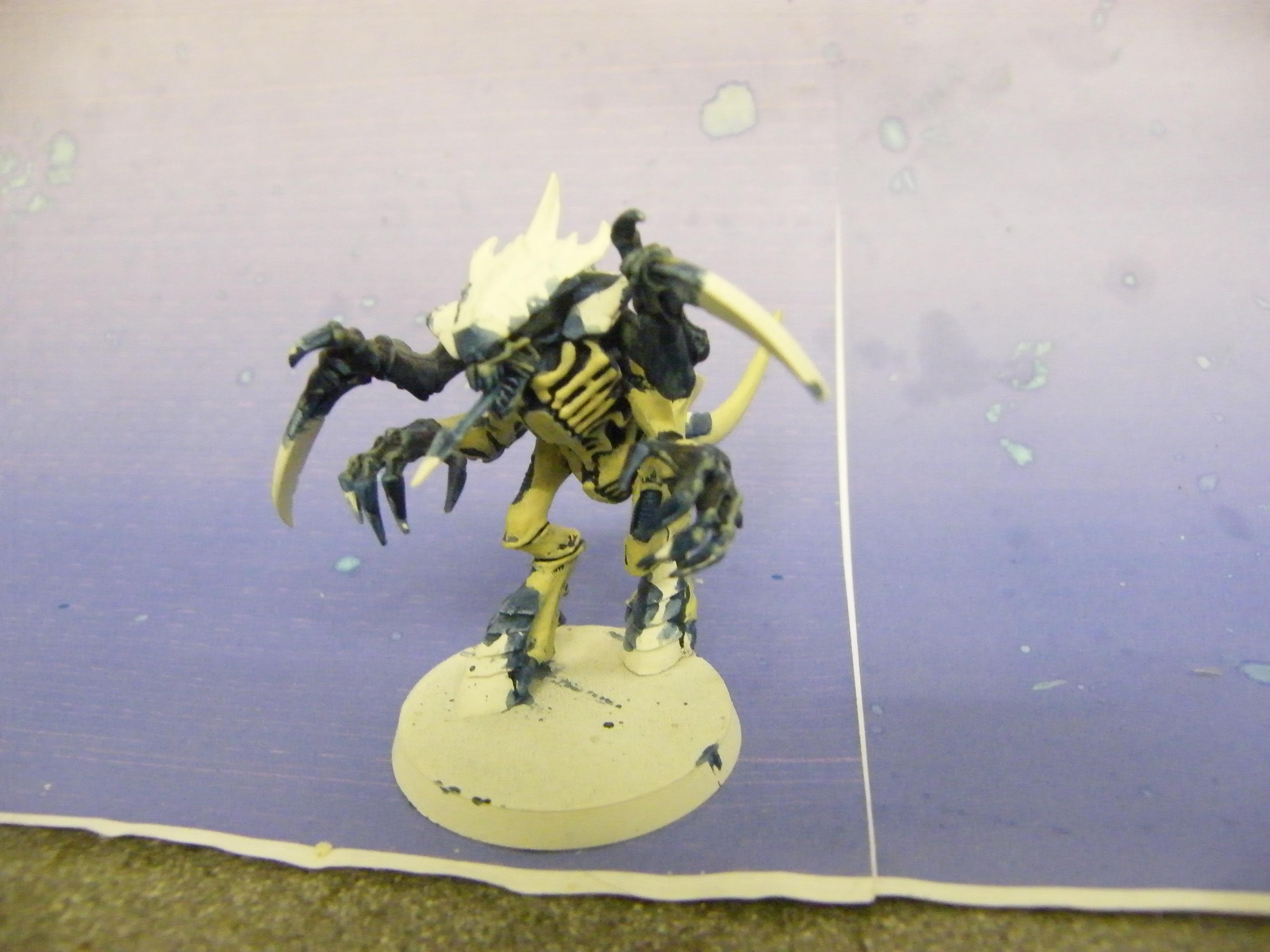 Warrior WIP 1