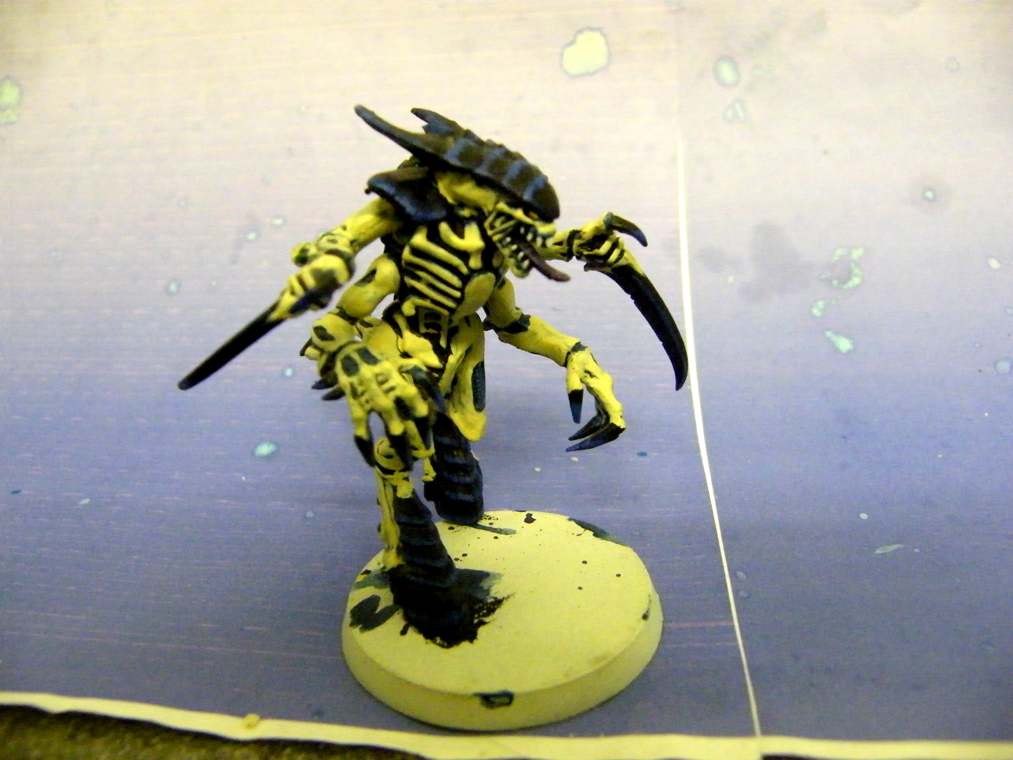 Warrior WIP 2