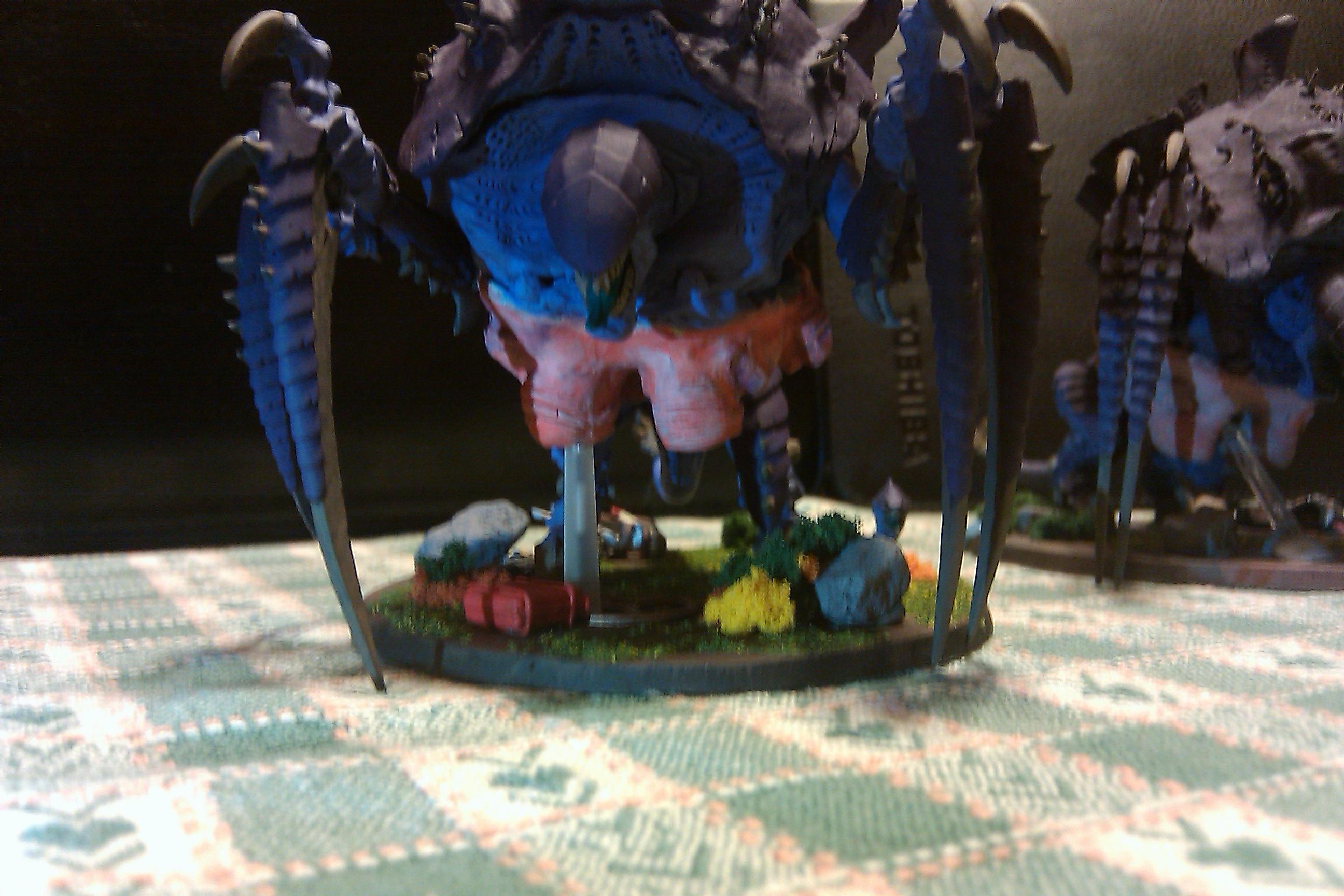 This was the Birth Sac from the second Tervigon I did