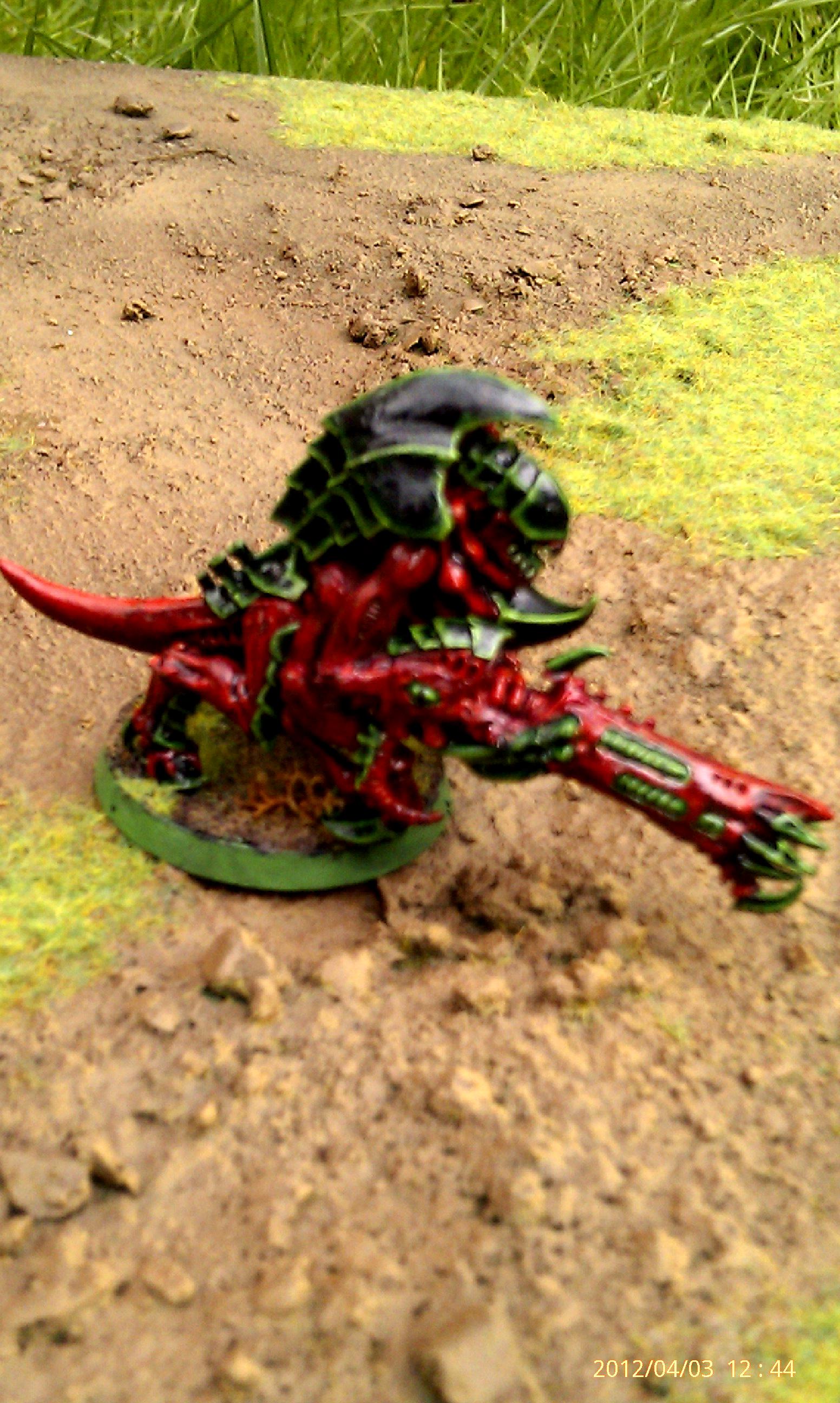 Gloss, Hive Guard, Tyranids