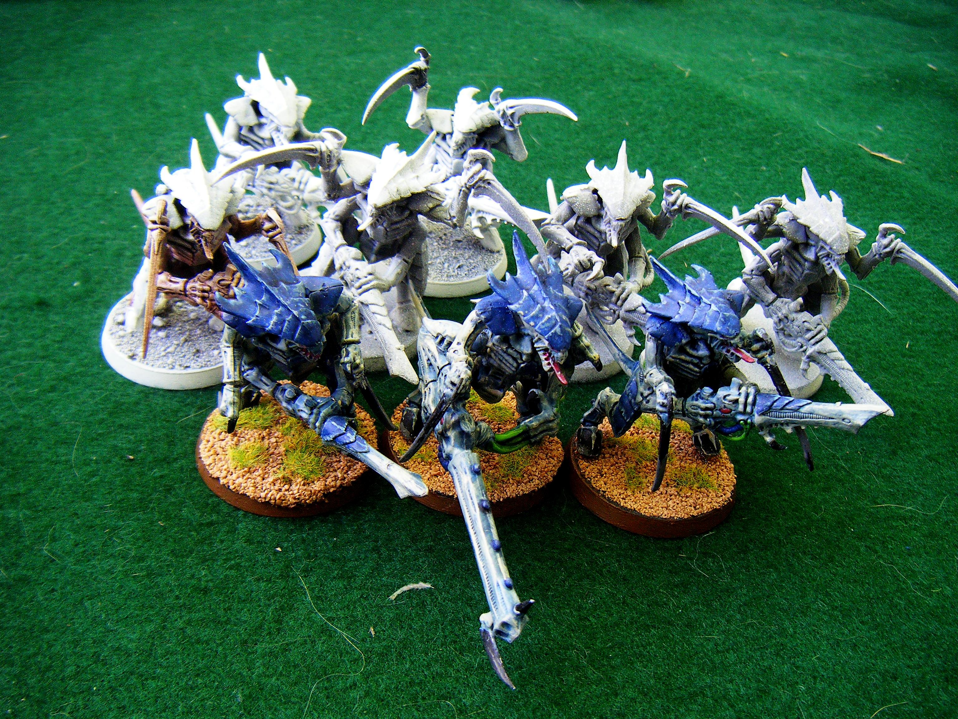 warriors