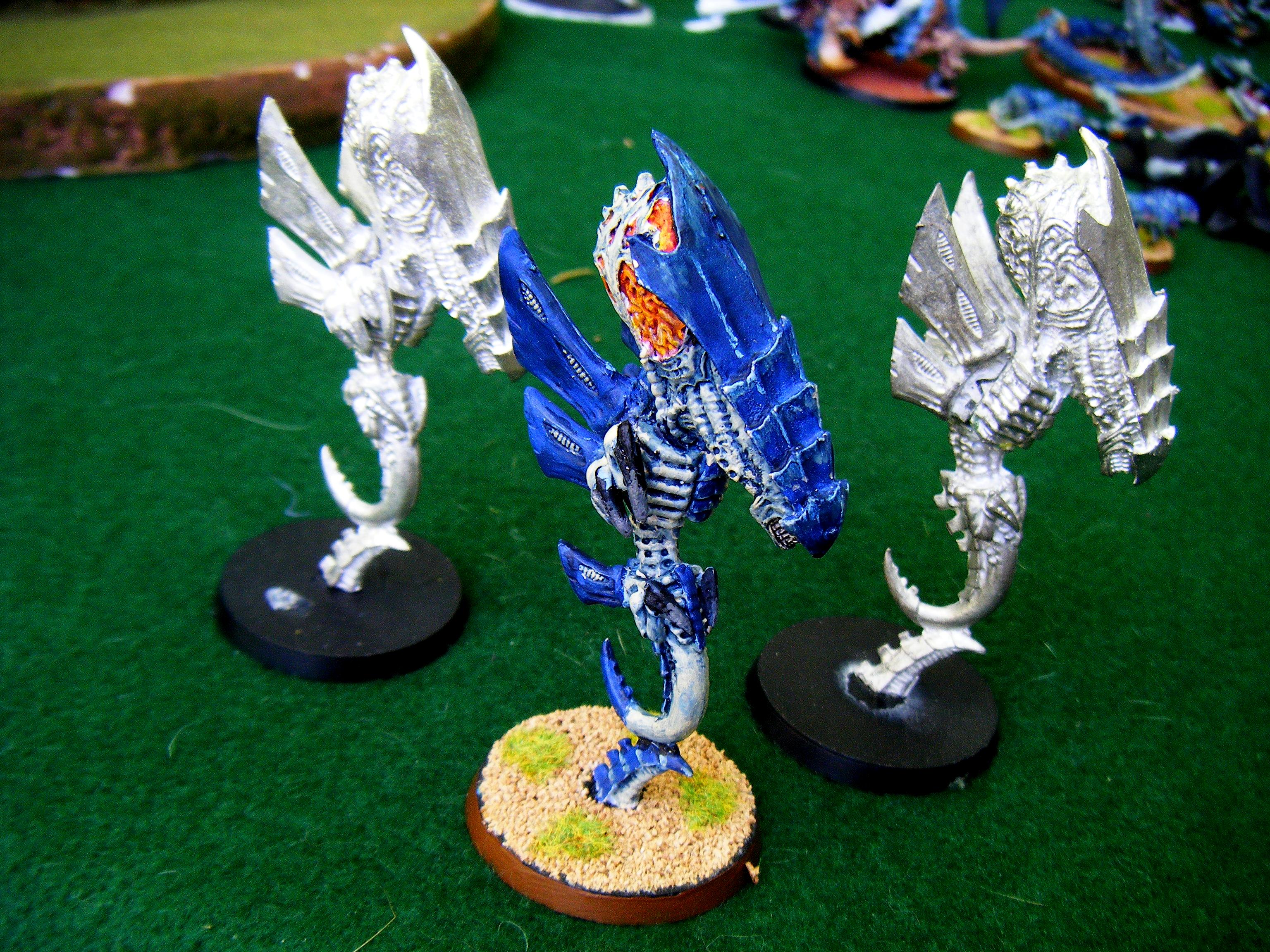 zoanthropes