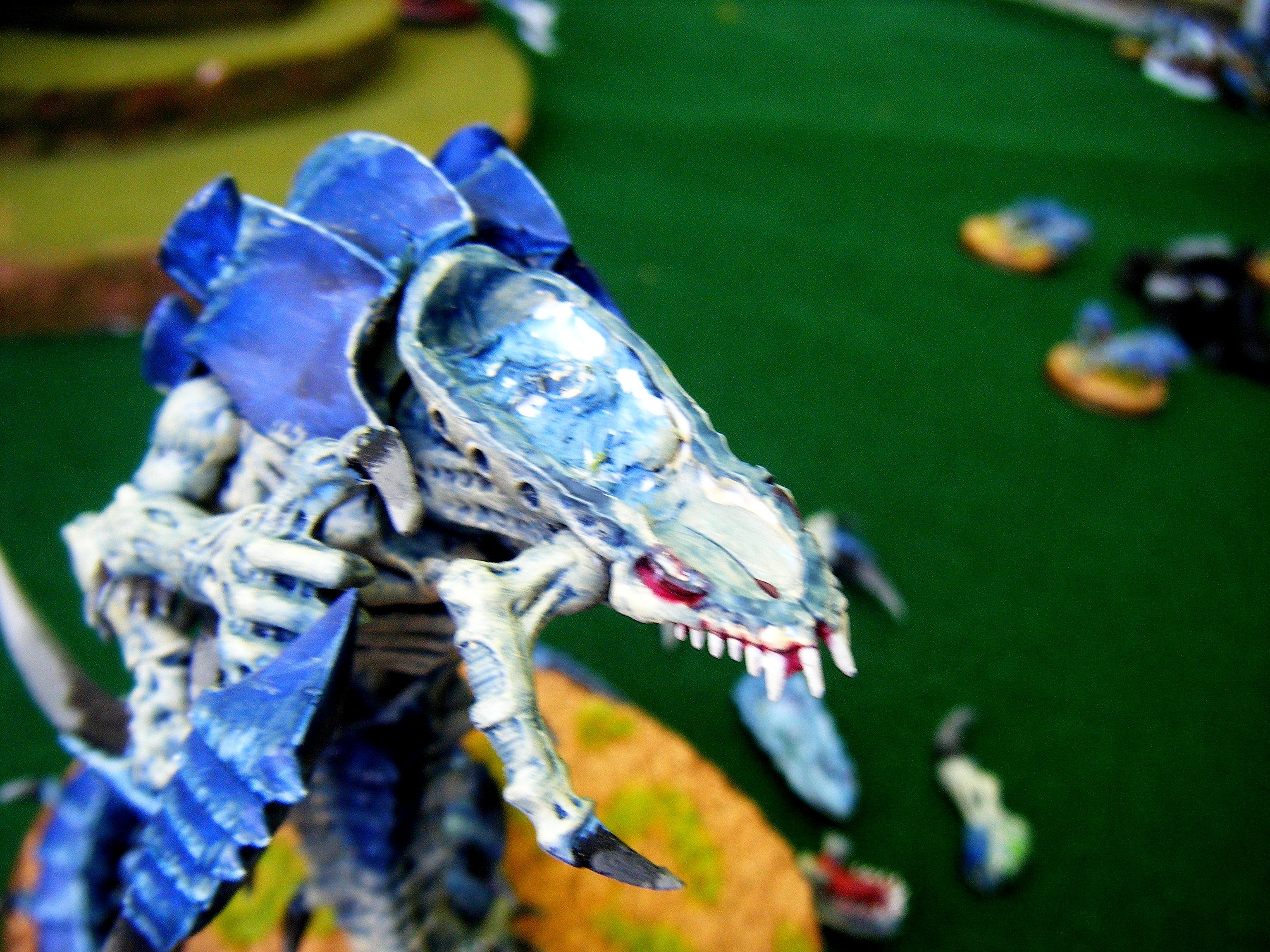 trygon head
